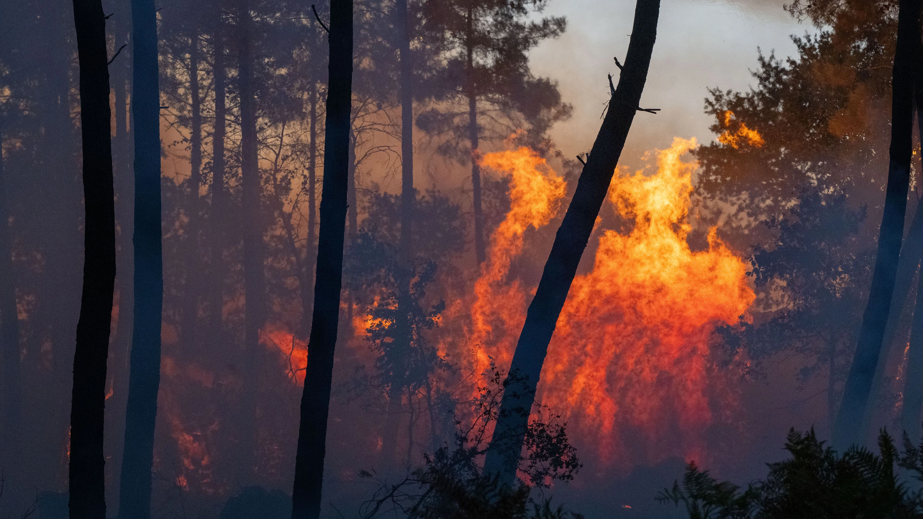 Naturkatastrophe: Waldbrand bei Bordeaux: Mehr als 10.000 Menschen wurden evakuiert