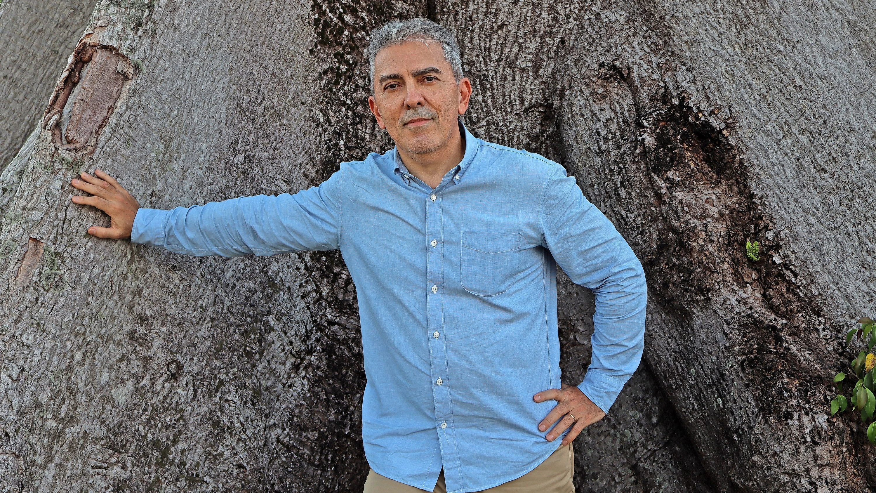 Klimagipfel Cop30: „Die Delphine wurden von den hohen Temperaturen gekocht“ Klimagipfel Cop30: „Die Delphine wurden von den hohen Temperaturen gekocht“