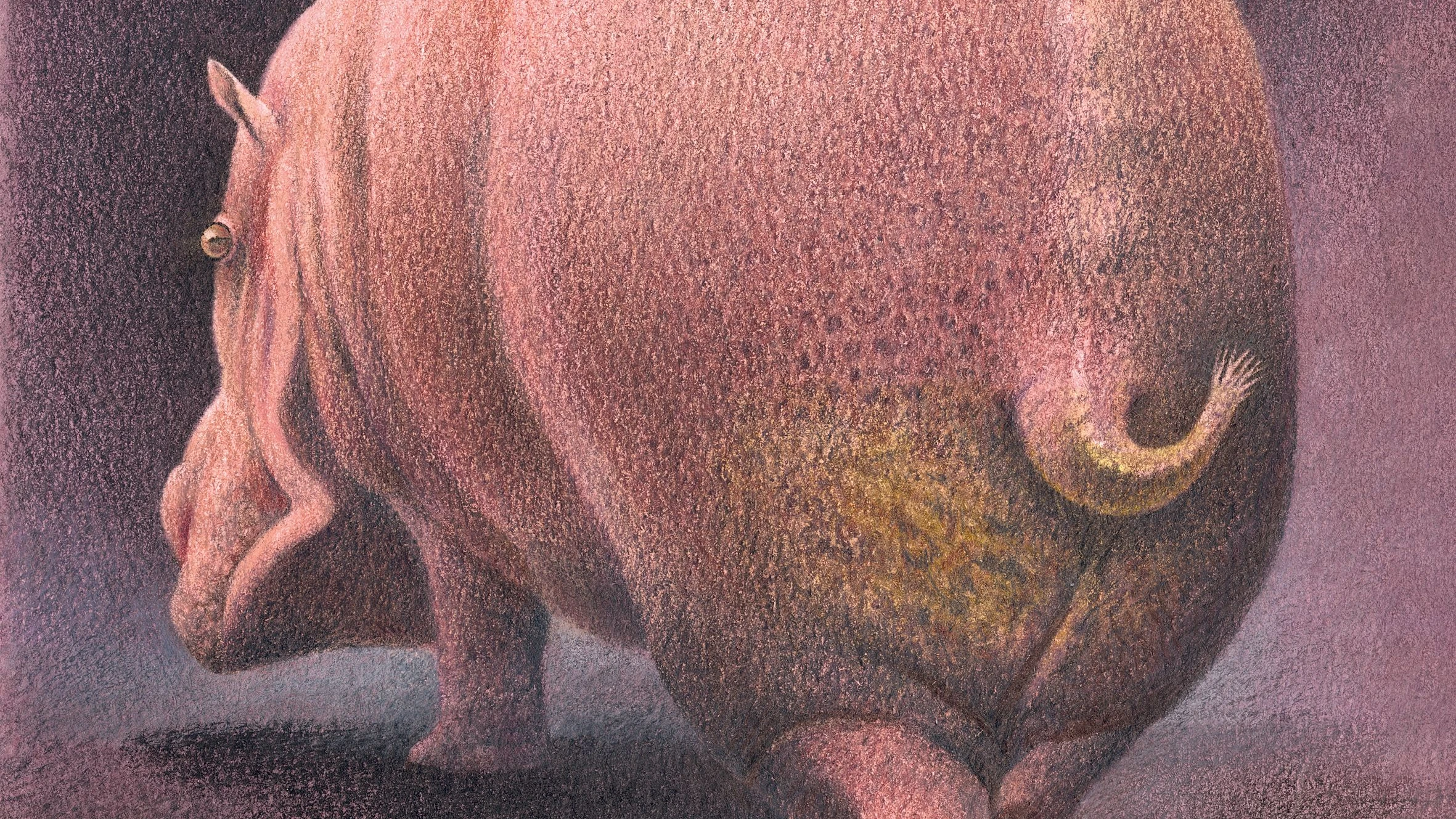 Kinderbuch von Olivier Charpentier: Hüte dich vor dem Schwänzchen des Flusspferds