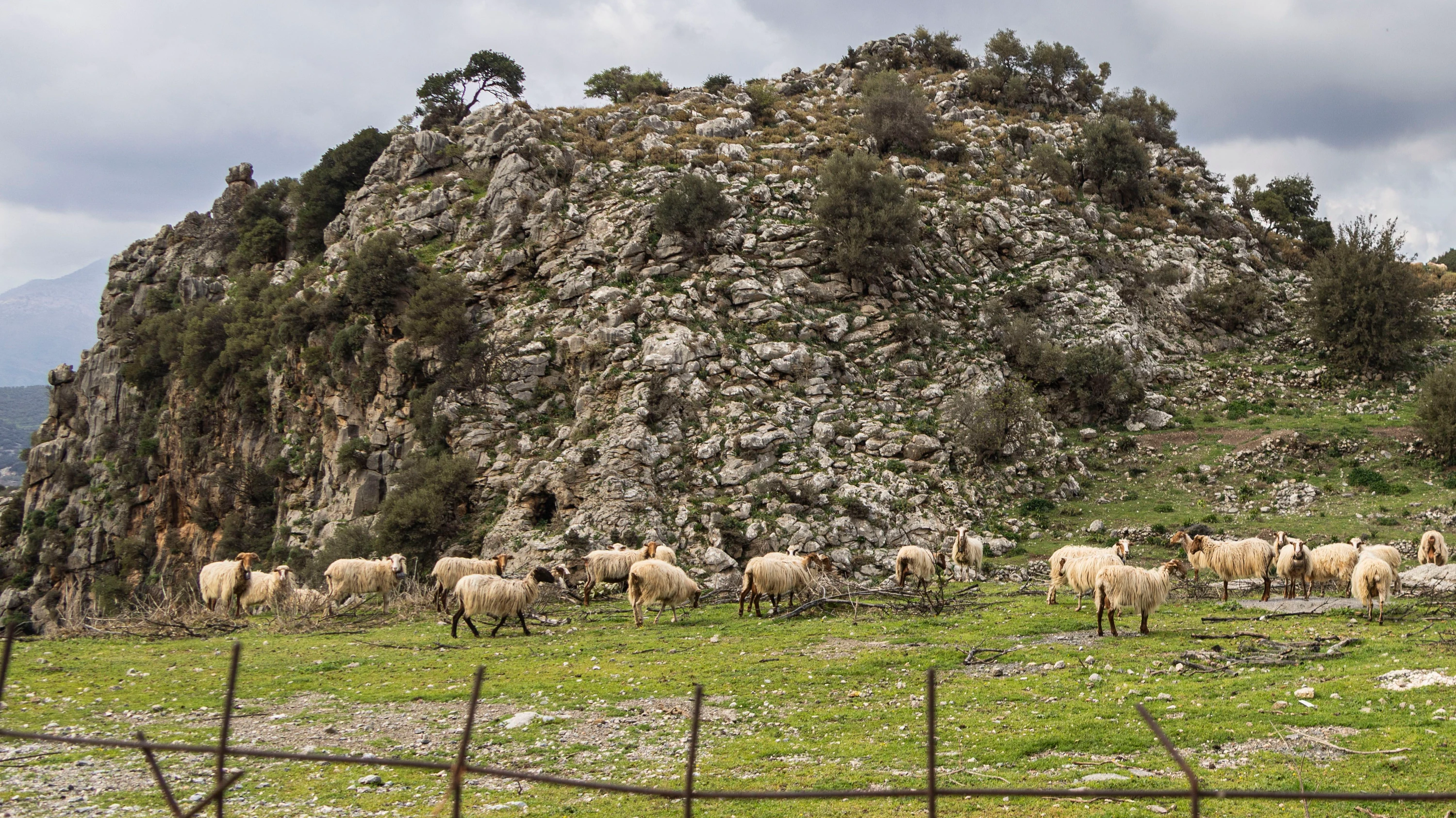 Missbrauch von EU-Hilfen: Agrarskandal bringt griechische Regierung in Bedrängnis