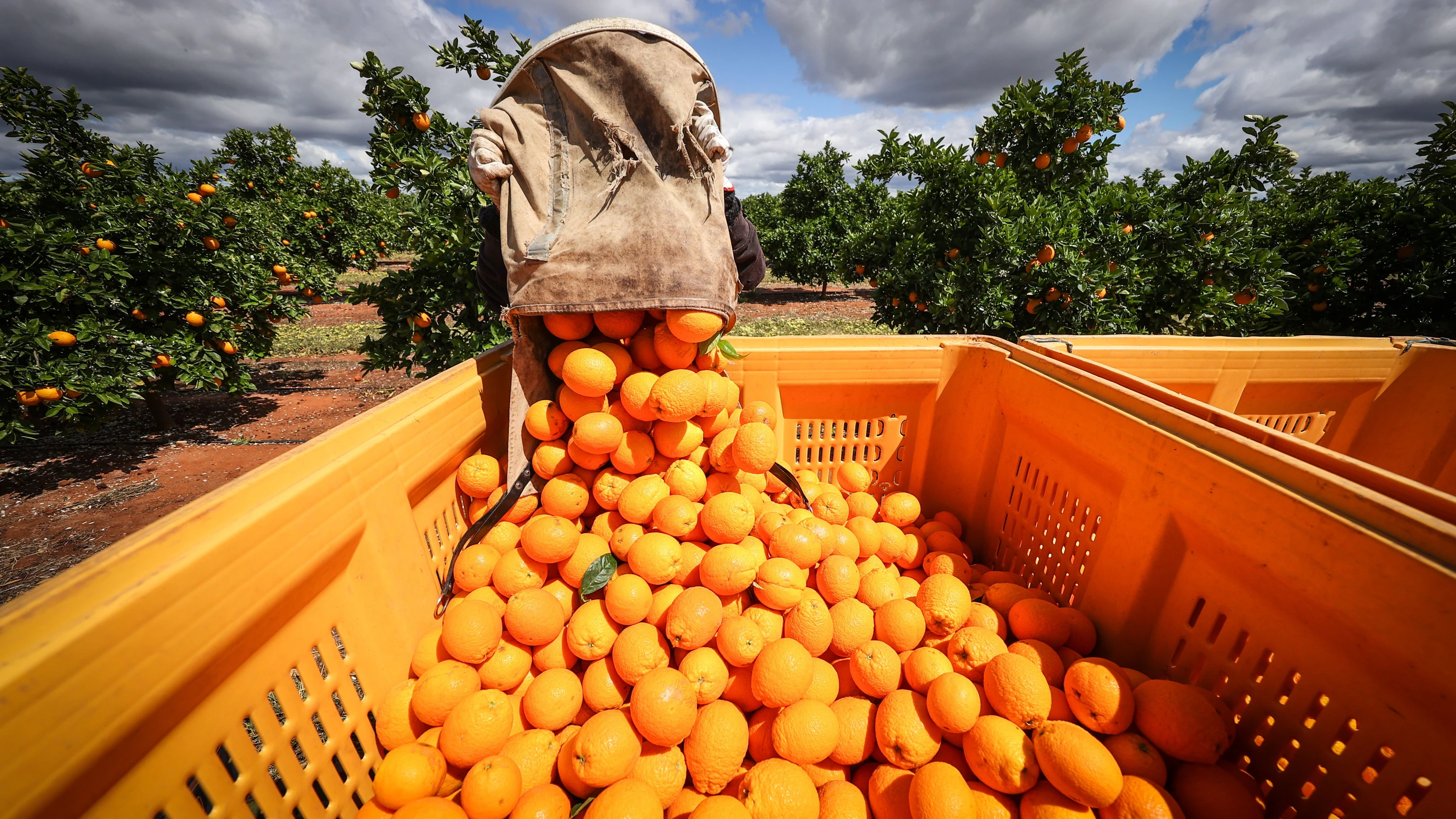 VisumVergabe: Australien schrumpft den Traum von „Work and Travel“ am anderen Ende der Welt