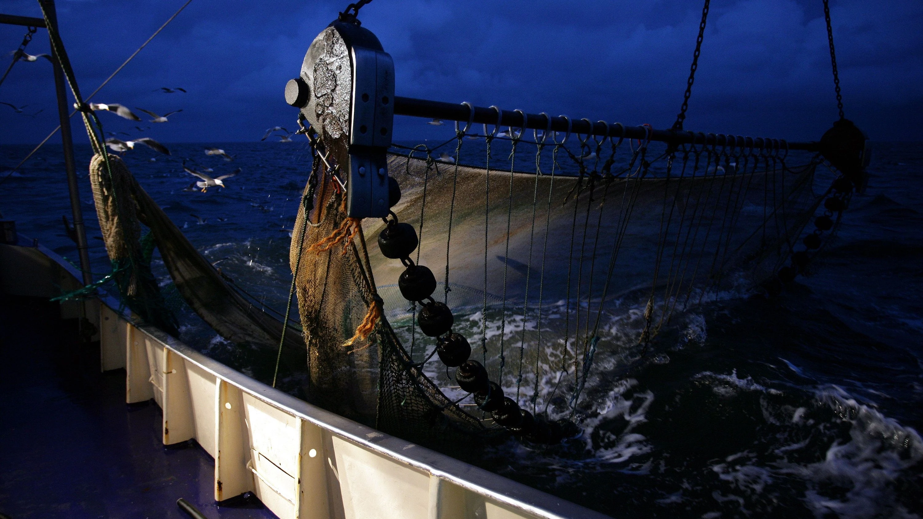 Schäden durch Schleppnetze: Die versteckten Kosten der Fischerei