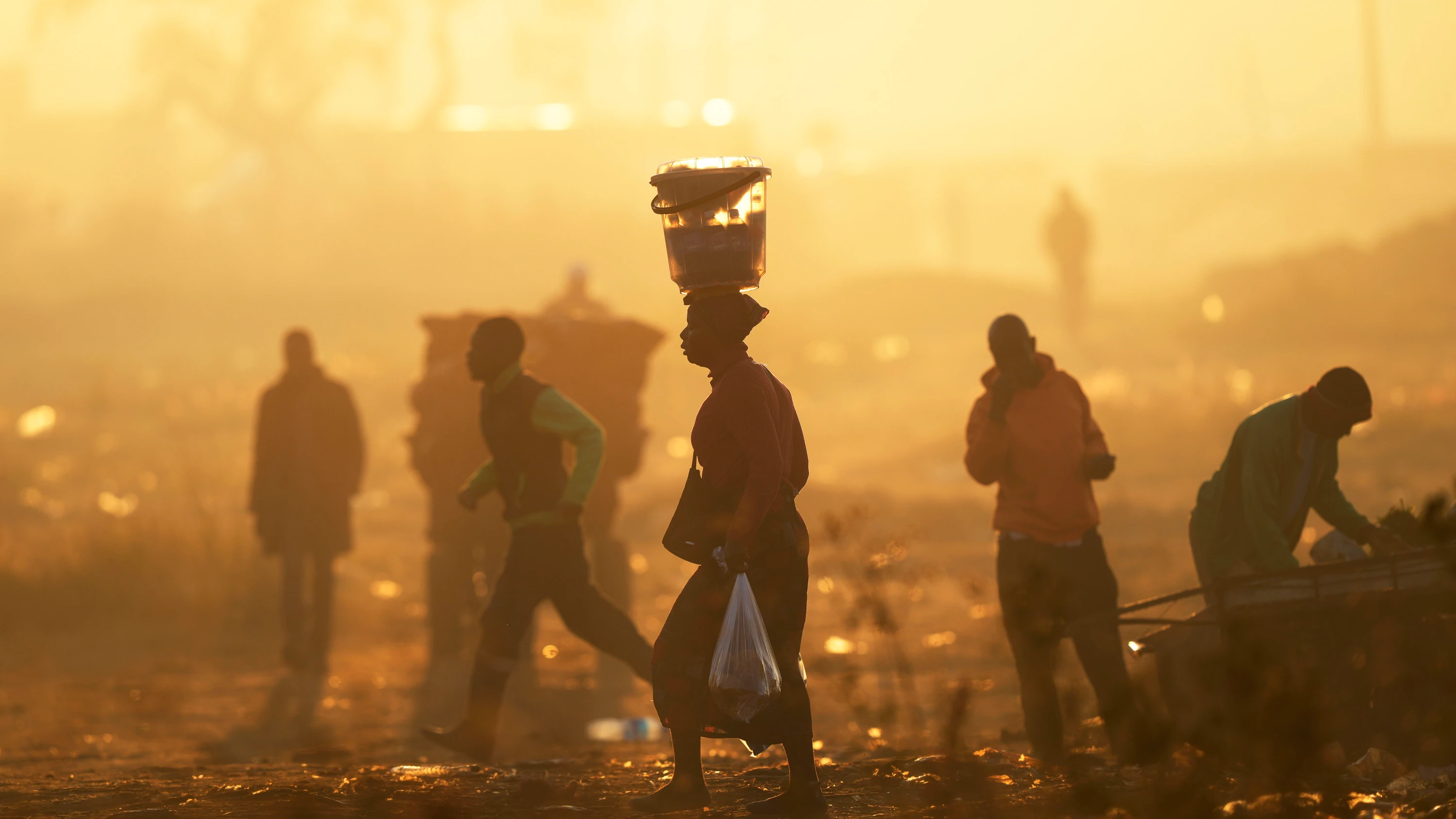 Roman aus Simbabwe: Wenn das Jaulen verklingt, stürzt der Himmel ein