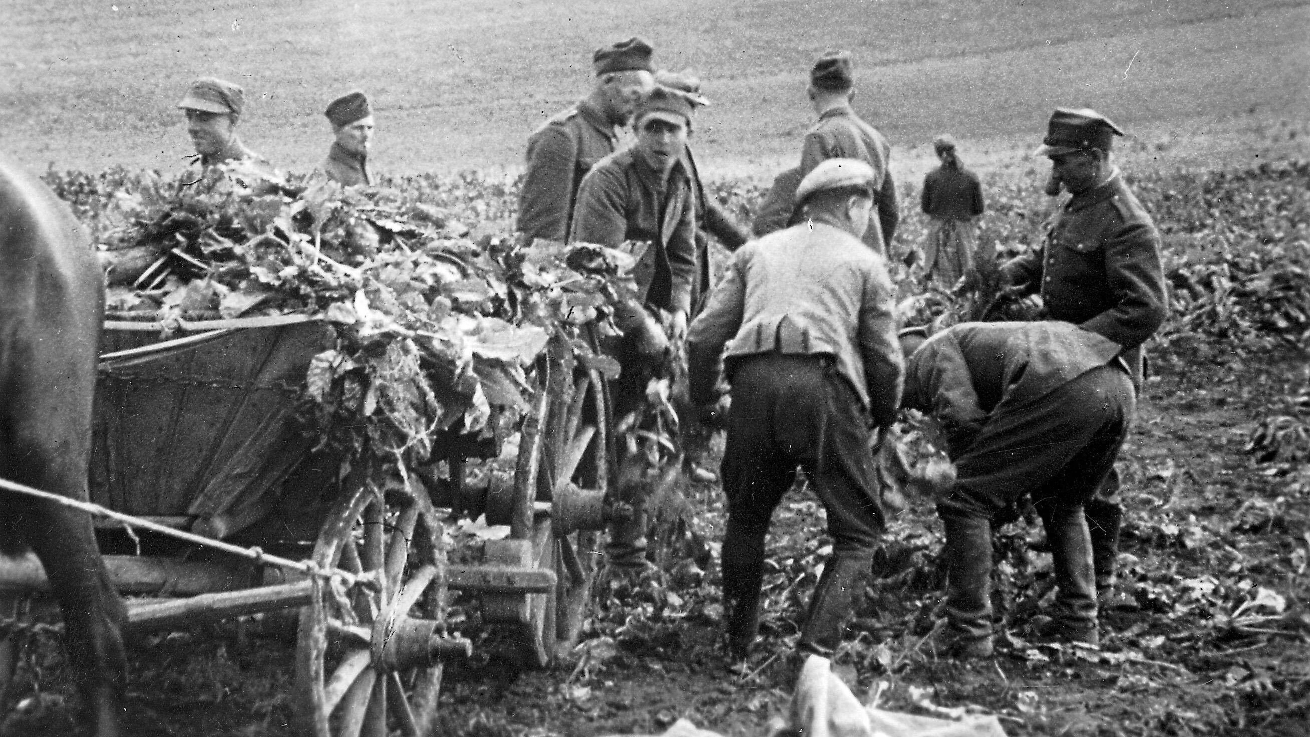 Einstige Zwangsarbeiter: „Sie warten darauf, dass wir sterben“ Einstige Zwangsarbeiter: „Sie warten darauf, dass wir sterben“