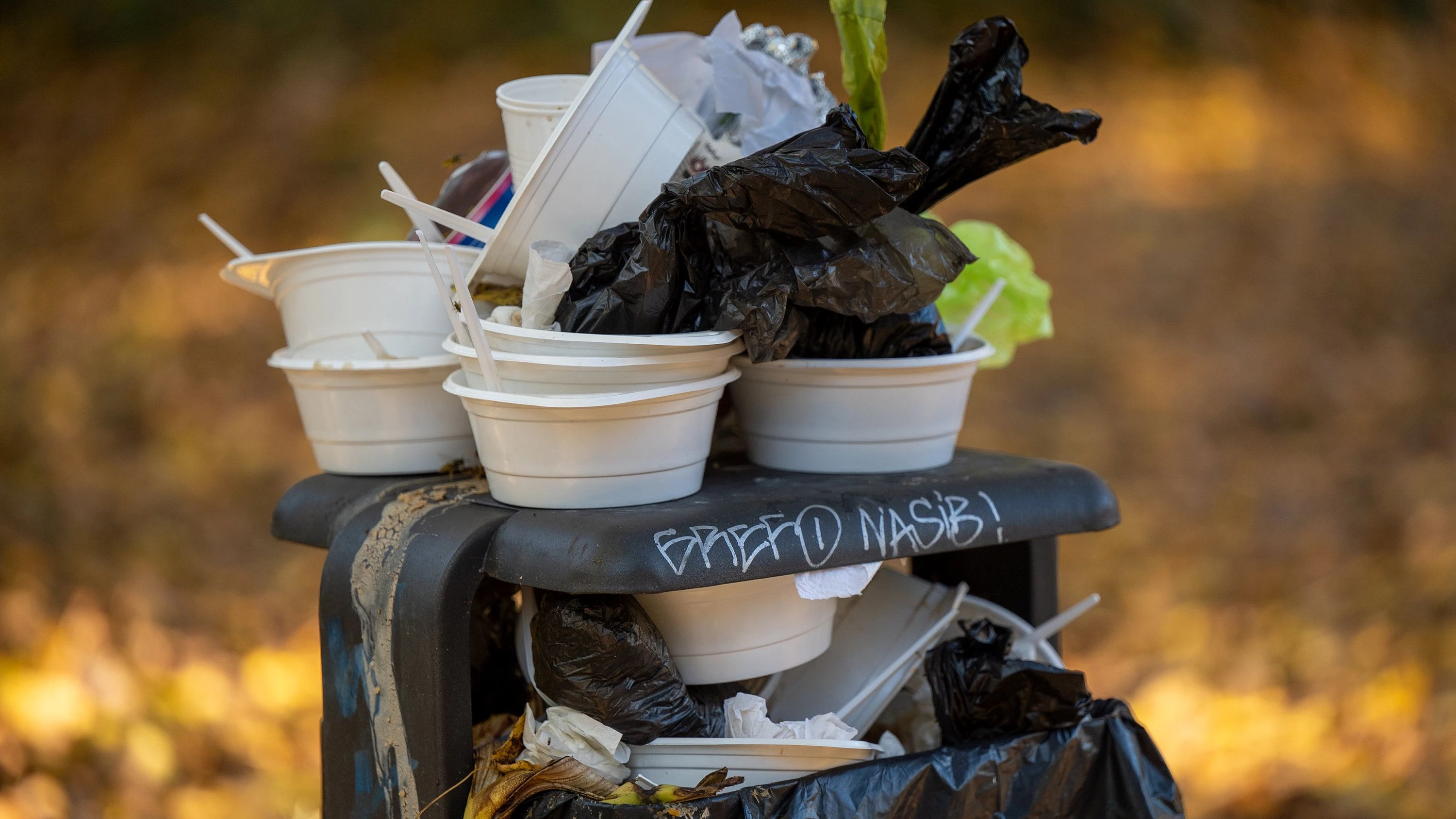 Kommunale Verpackungssteuer: To go würde teurer werden