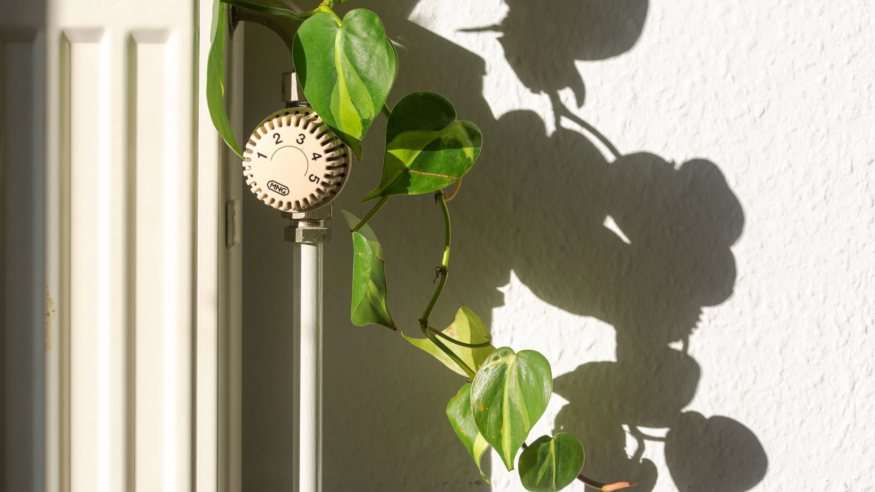 anstieg mit Verzögerung: So teuer wird jetzt das Heizen mit Erdgas