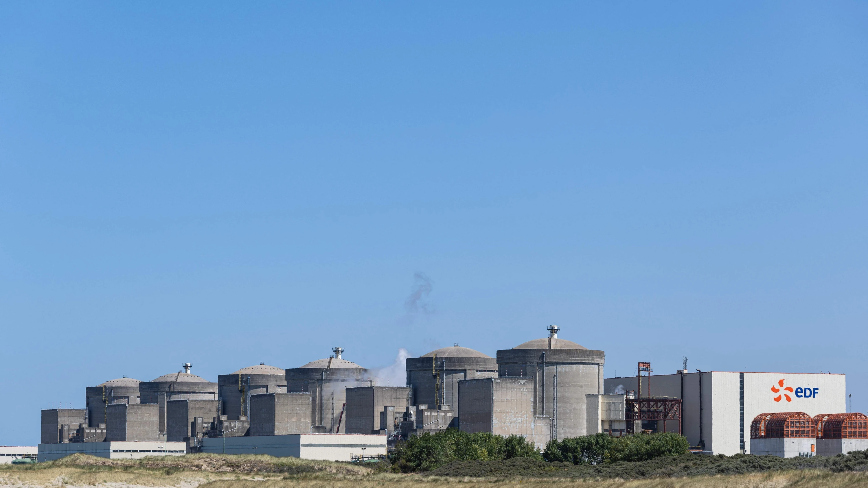 Frankreich: Wegen Quallenplage: Drei Atomreaktoren abgeschaltet