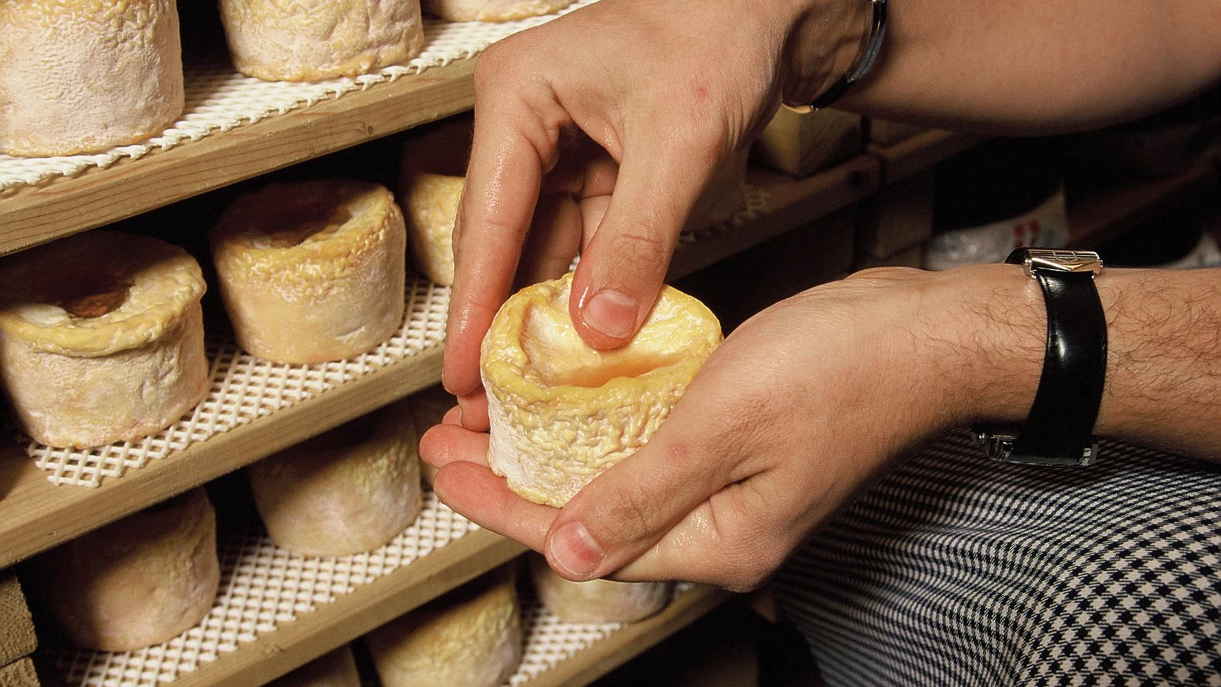Rohmilchkäse ist dafür bekannt, dass er Listerien enthalten kann. -
