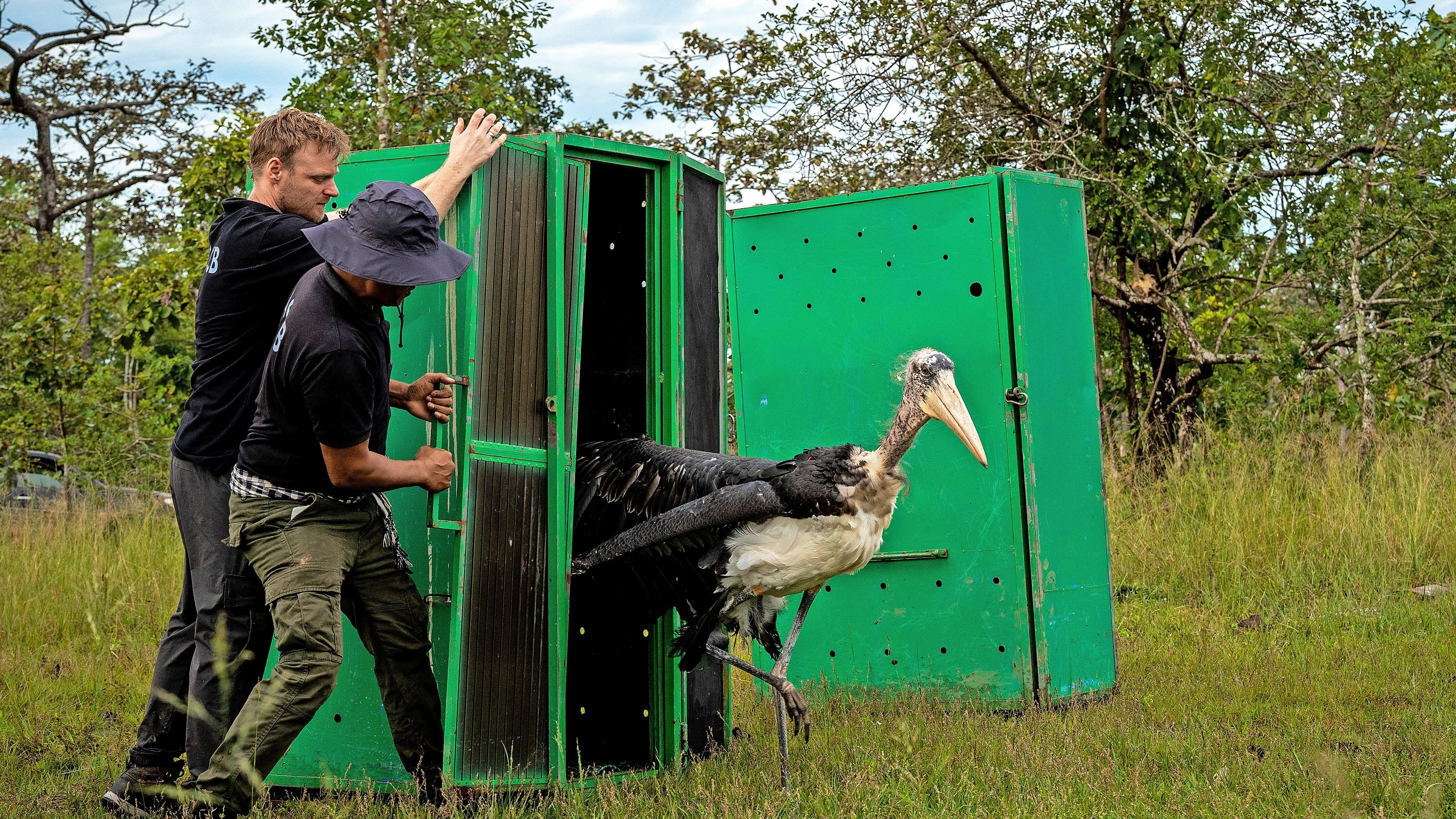 Naturzerstörung: „Umsteuern oder Aussterben“