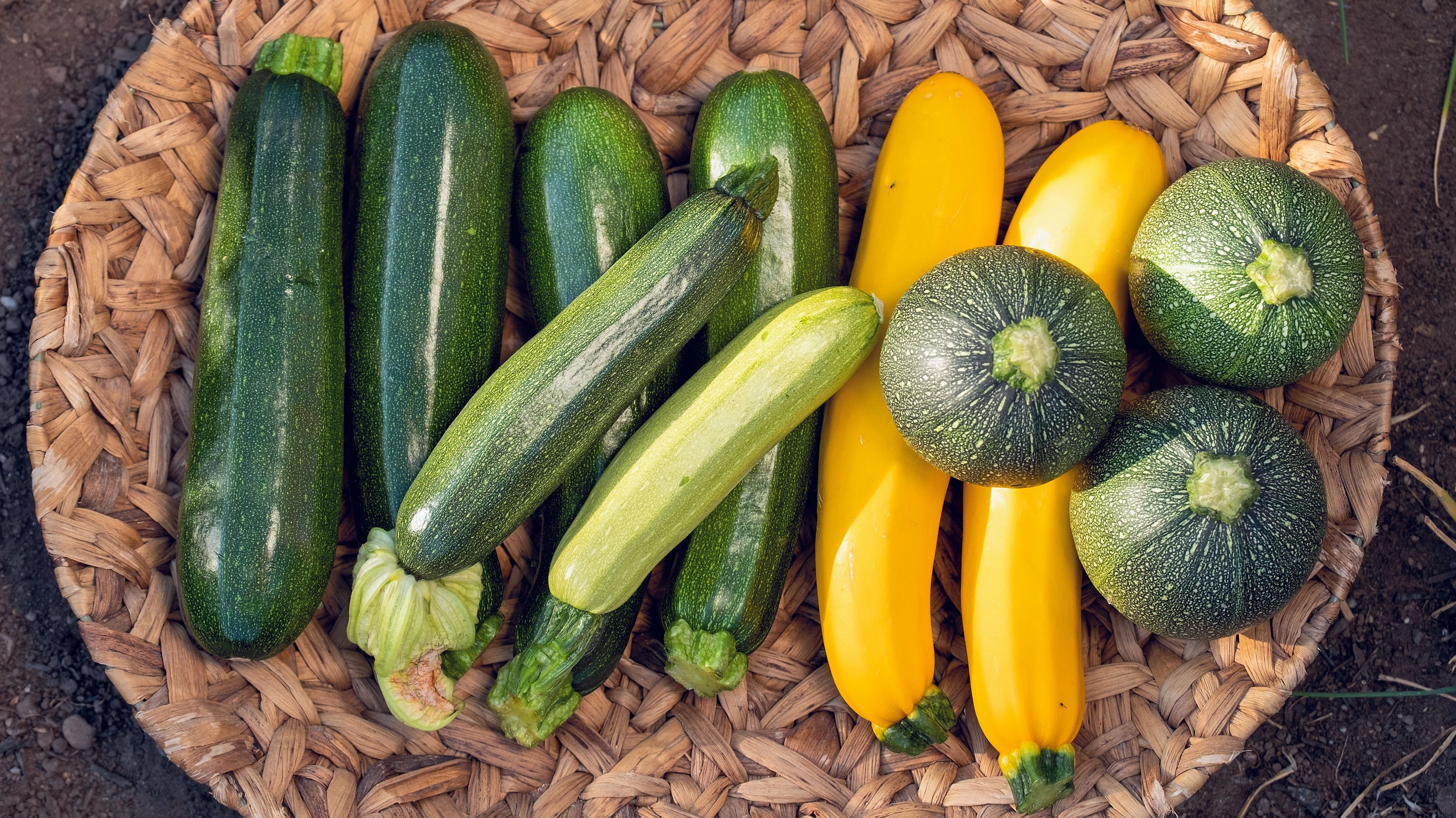 Aus dem Garten auf den Tisch: Zucchini gibt es in allerlei Größen und Formen. - Birgit-Cathrin Duval