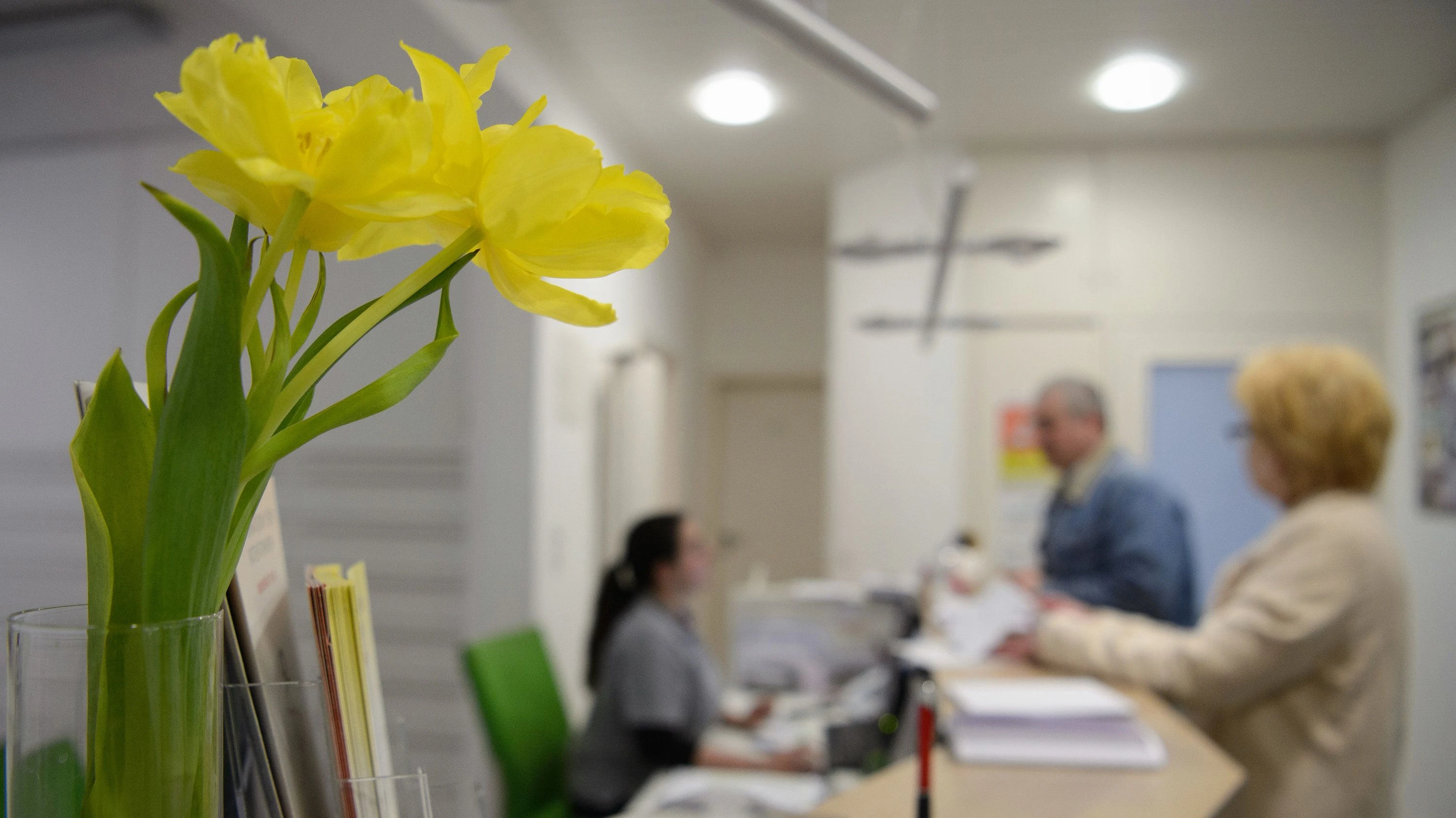 Krankenstand: Hausärzte warnen vor Abschaffung der telefonischen Krankschreibung