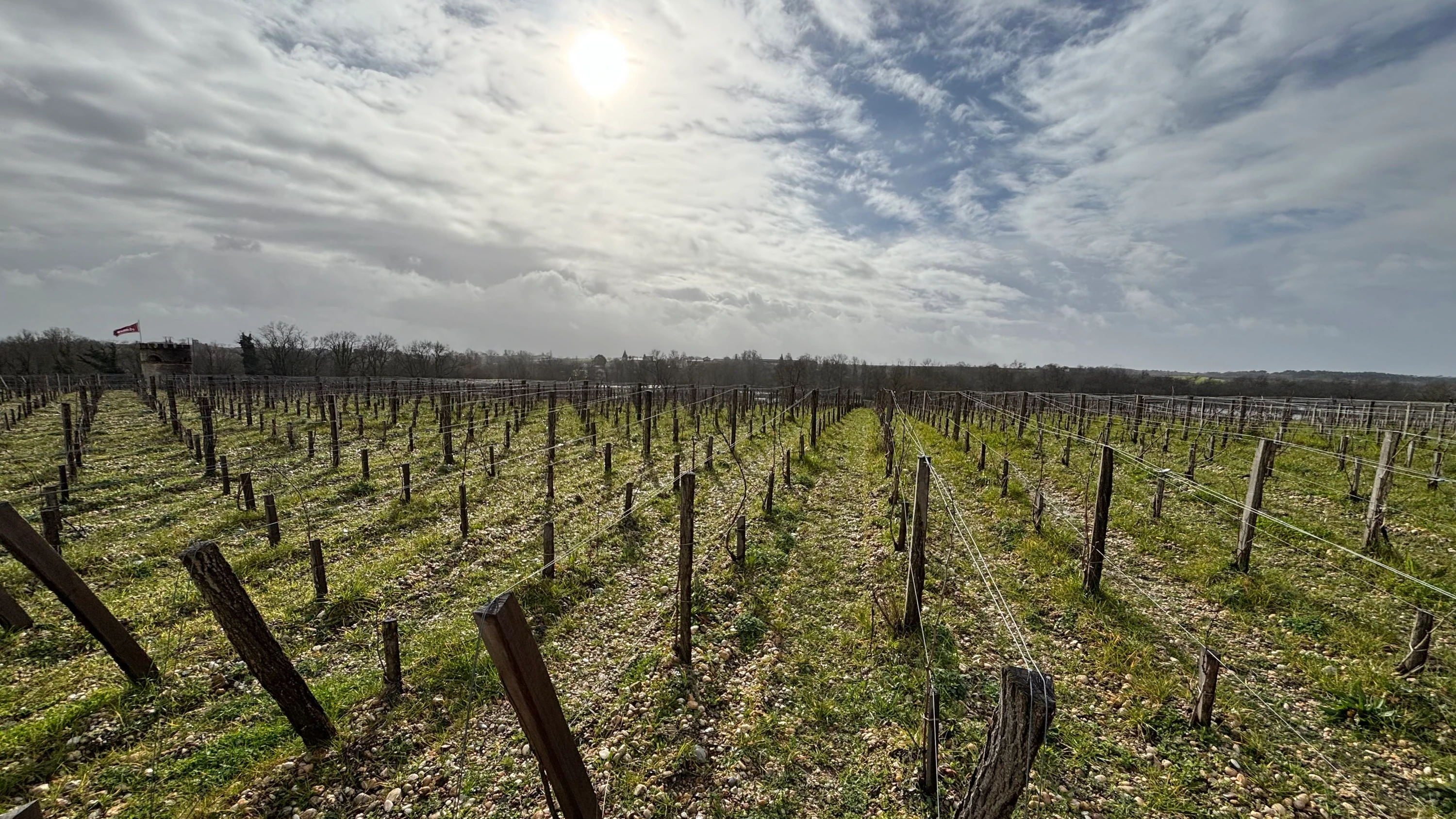Wein-Krise: Der Absturz von Bordeaux