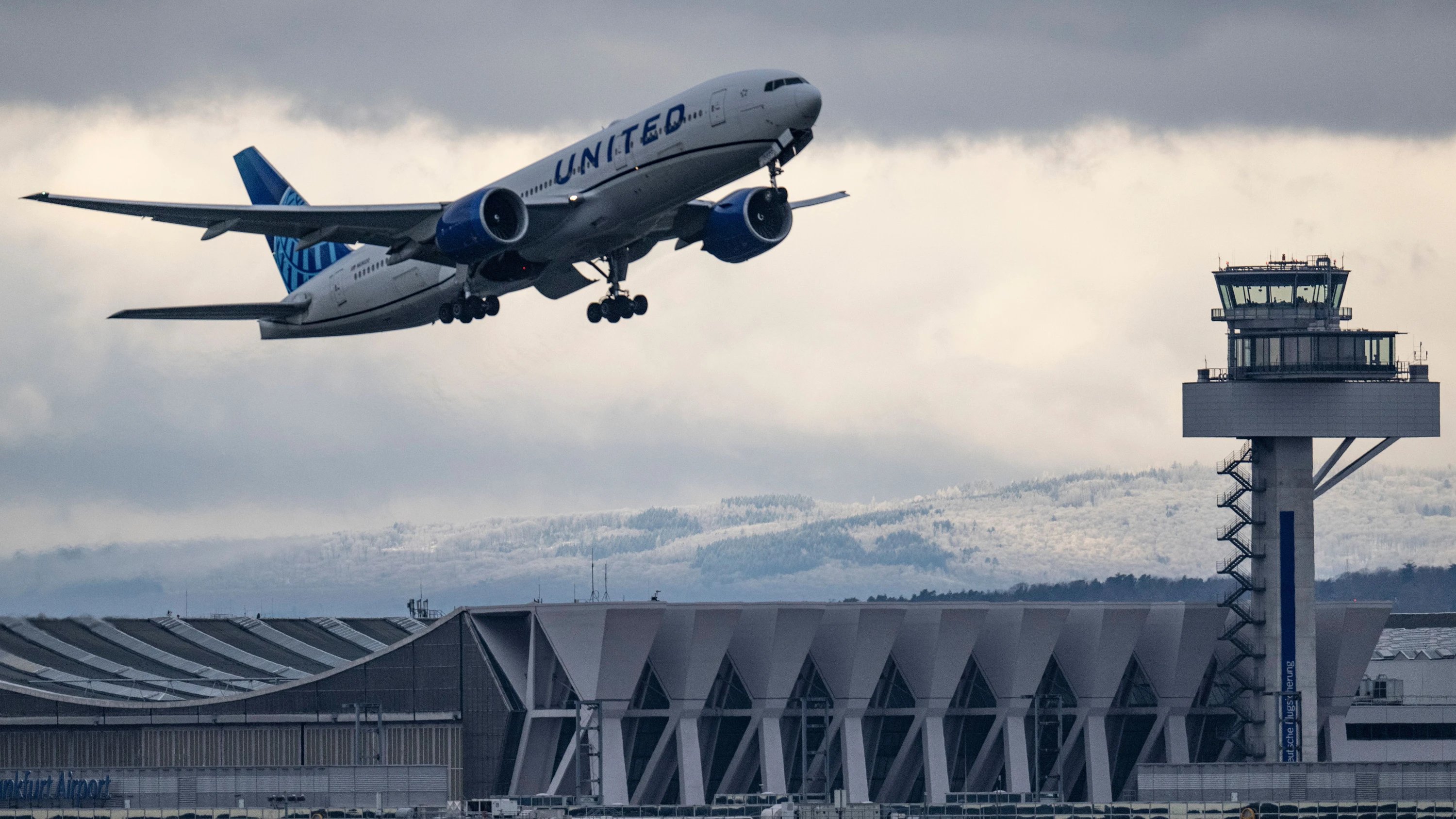 Die Mücke ist wohl in einem Flugzeug mitgereist. - dpa