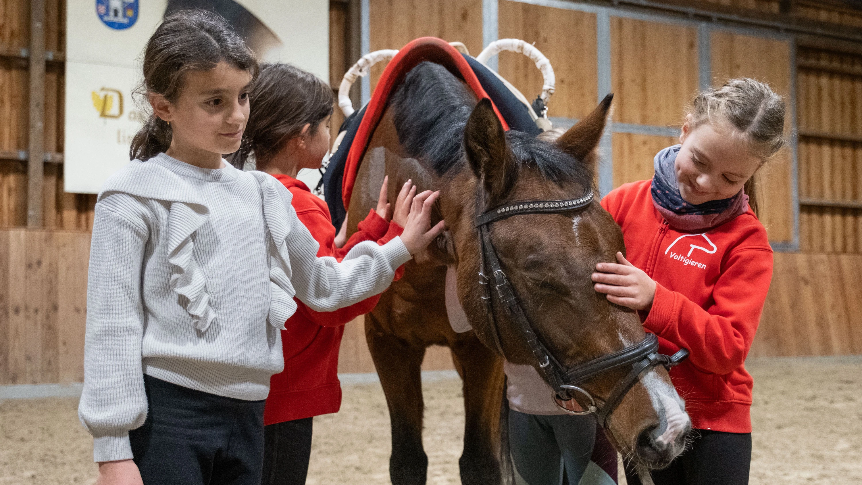 Reitsport an der Basis: Ponys für den „Push“