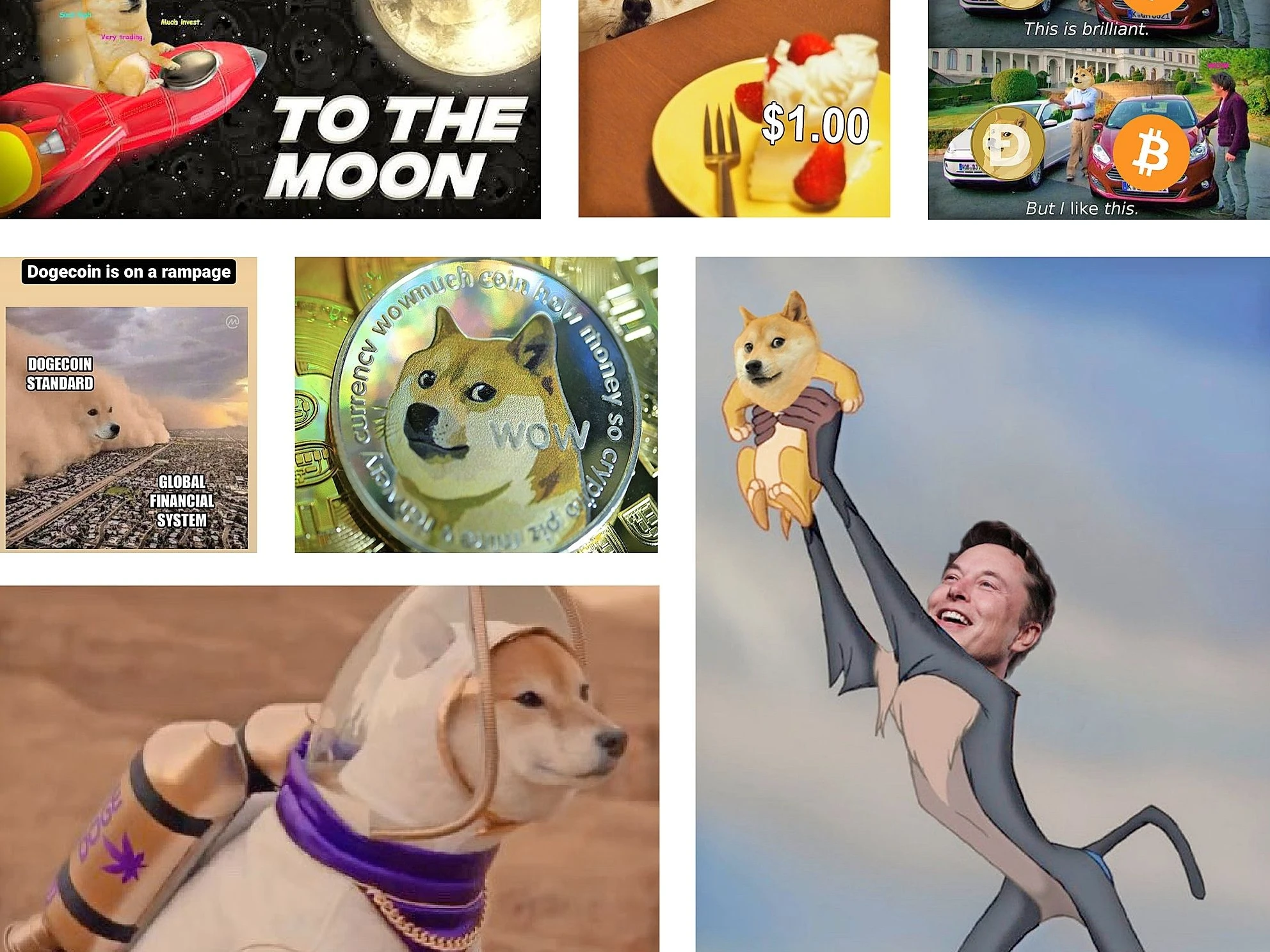 Kryptowährung Dogecoin: Der Milliarden-Dollar-Spaß | FAZ