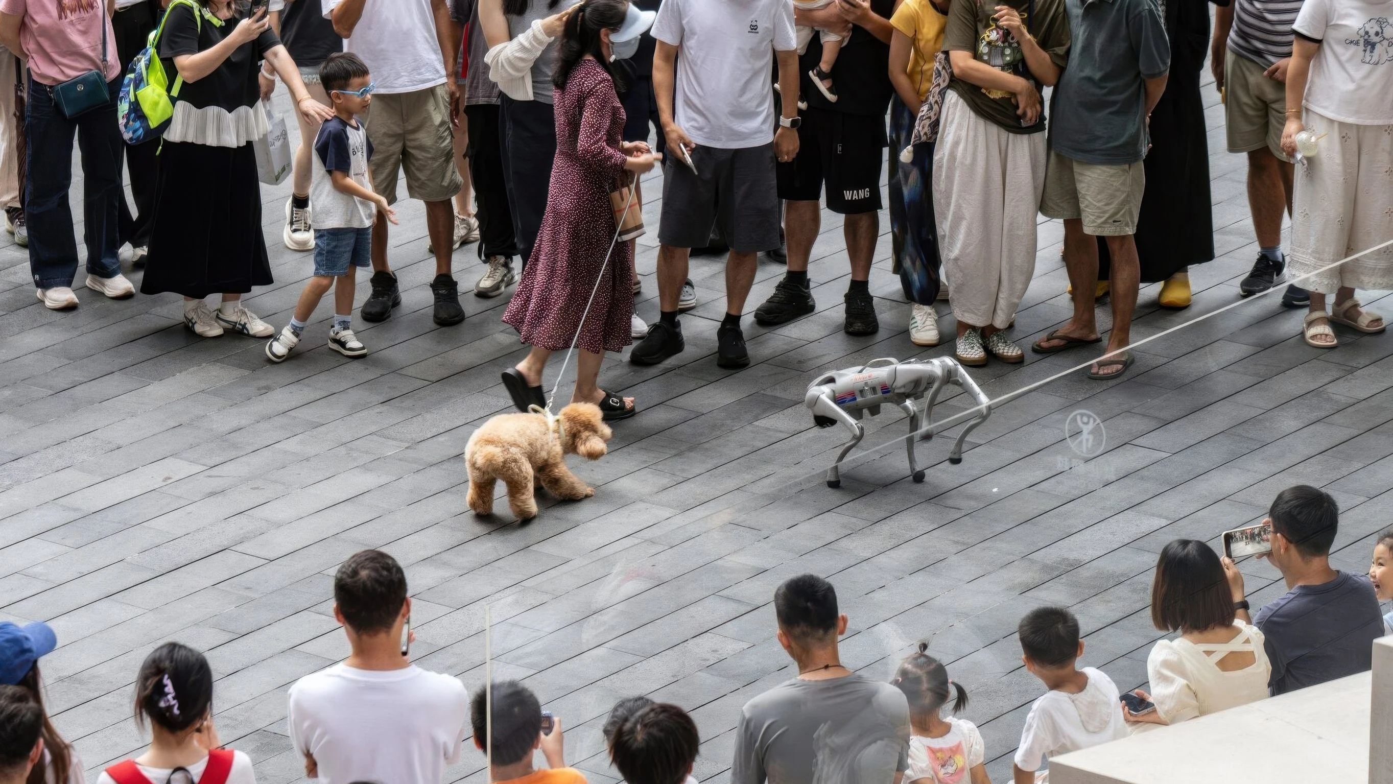 H200-Reihe: Trump gibt Nvidia-Chips für China frei