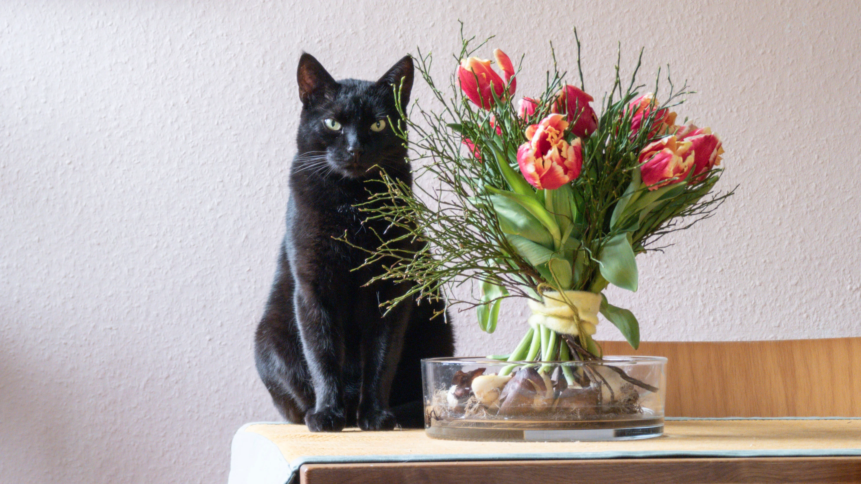 Aberglaube: Wieso Freitag, der 13., als Unglückstag gilt