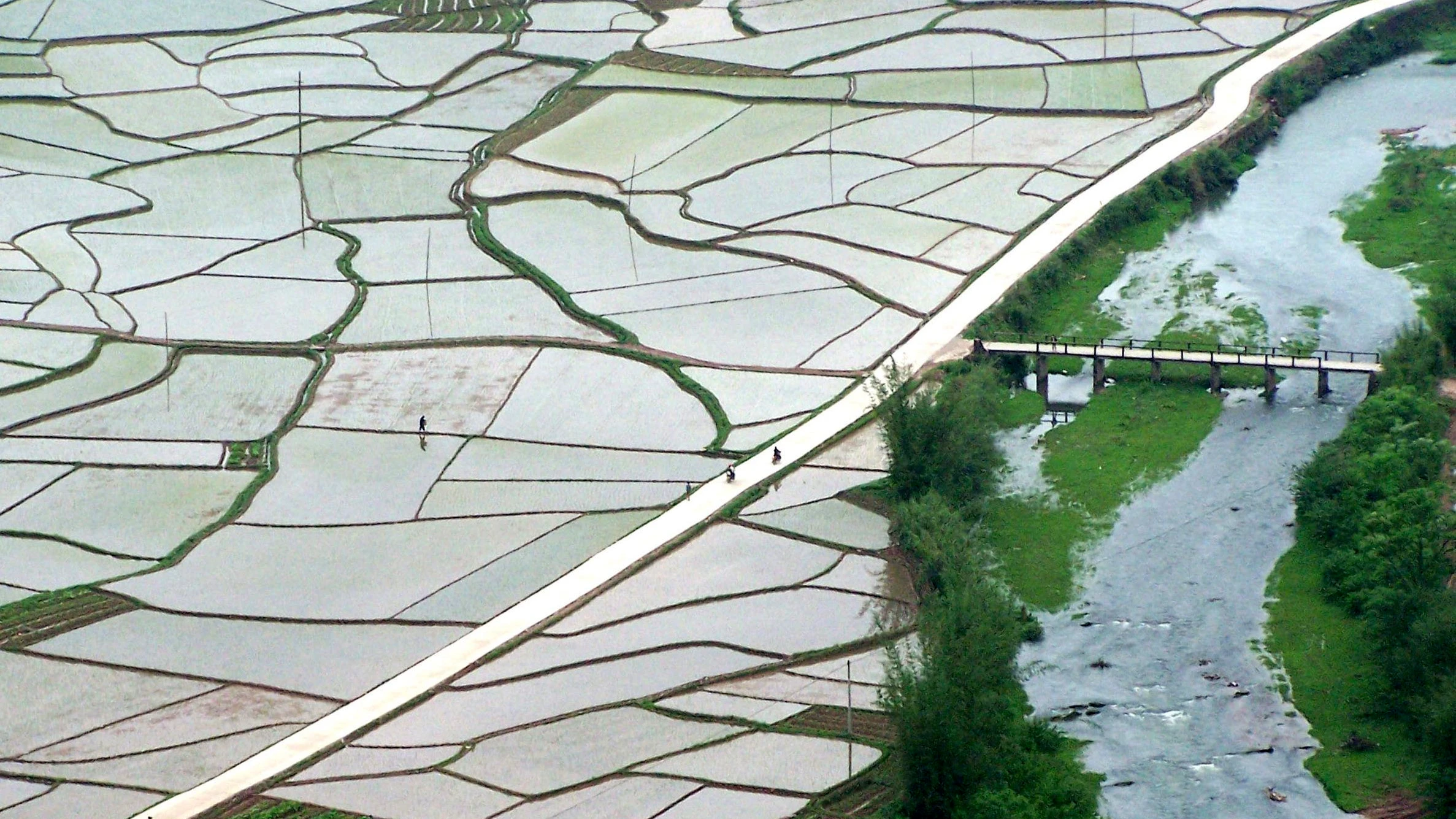 Landnutzung: Plantagen und Äcker statt Tropenwald