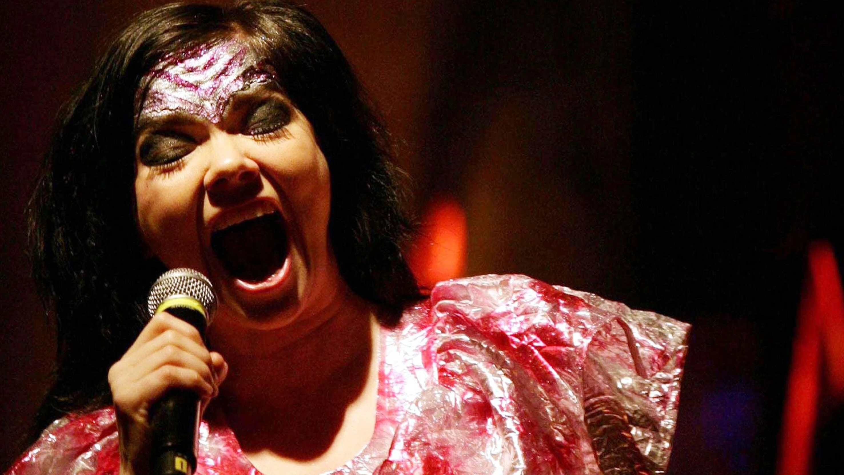 Declaration of Independence: Sängerin Björk ermutigt Grönland zur Unabhängigkeitserklärung