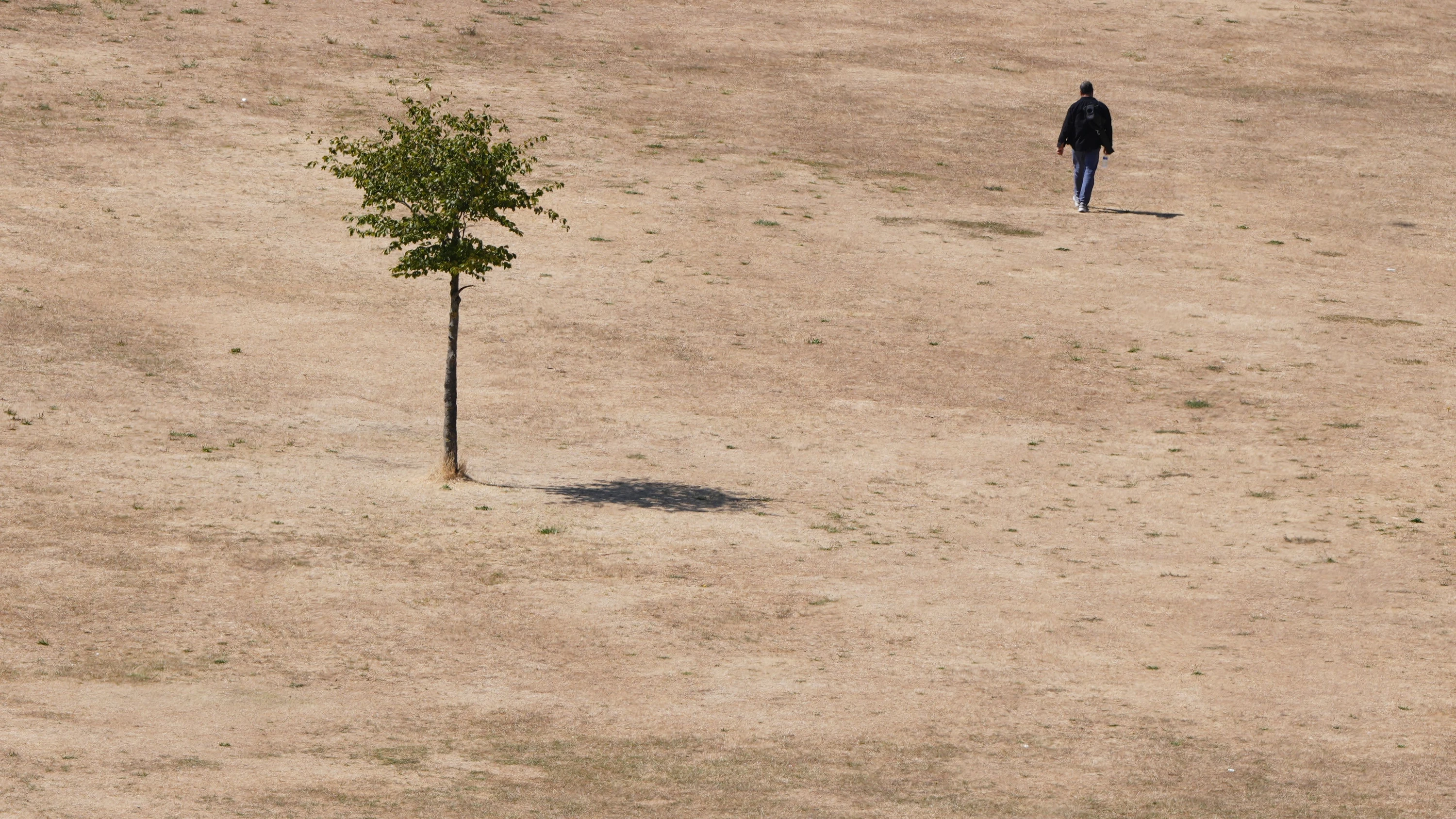 Europäische Klimadaten: Der heißeste Juli seit Menschengedenken Europäische Klimadaten: Der heißeste Juli seit Menschengedenken