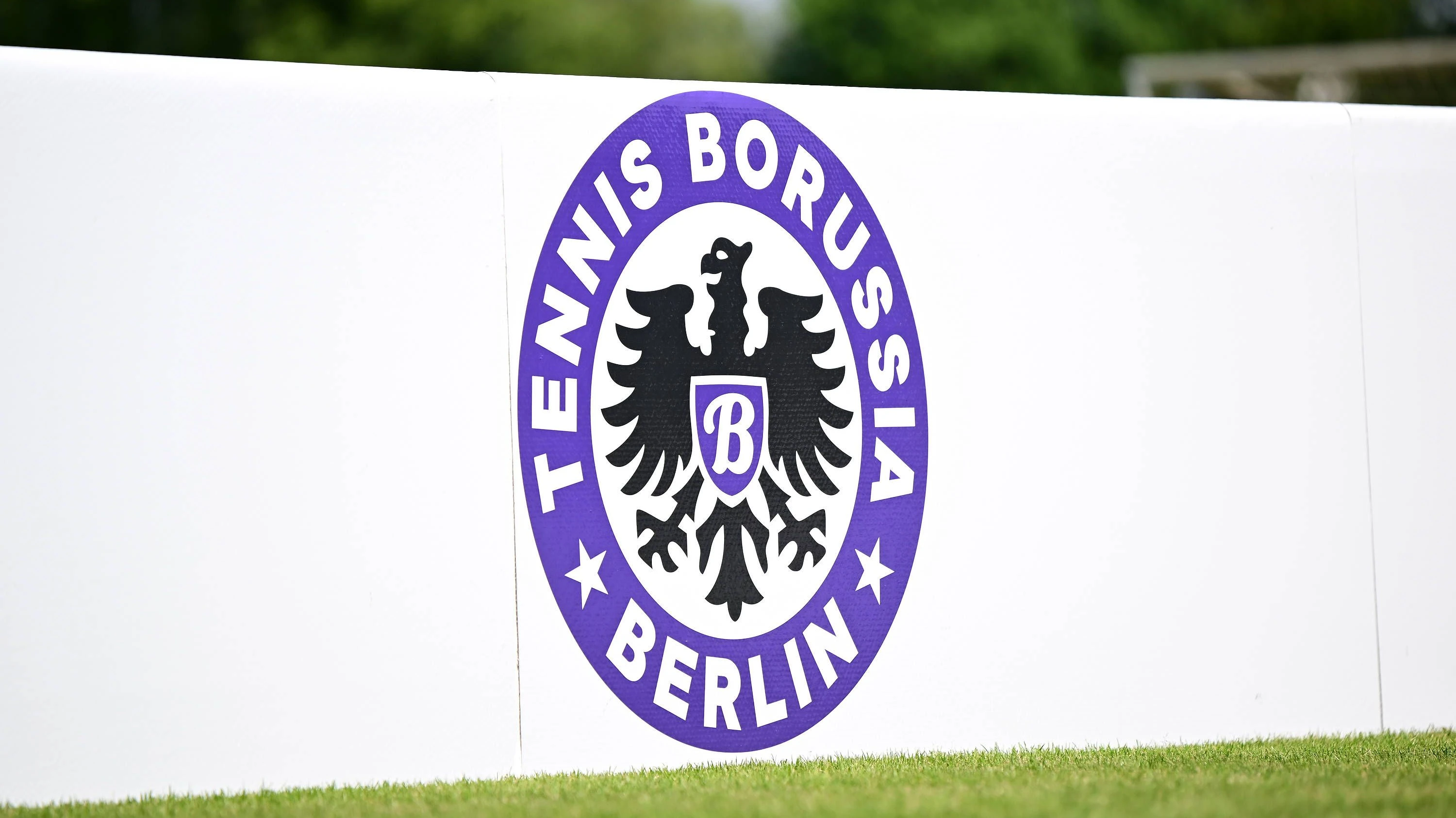 Tennis Borussia Berlin: Ein Traditionsklub versinkt im Machtkampf