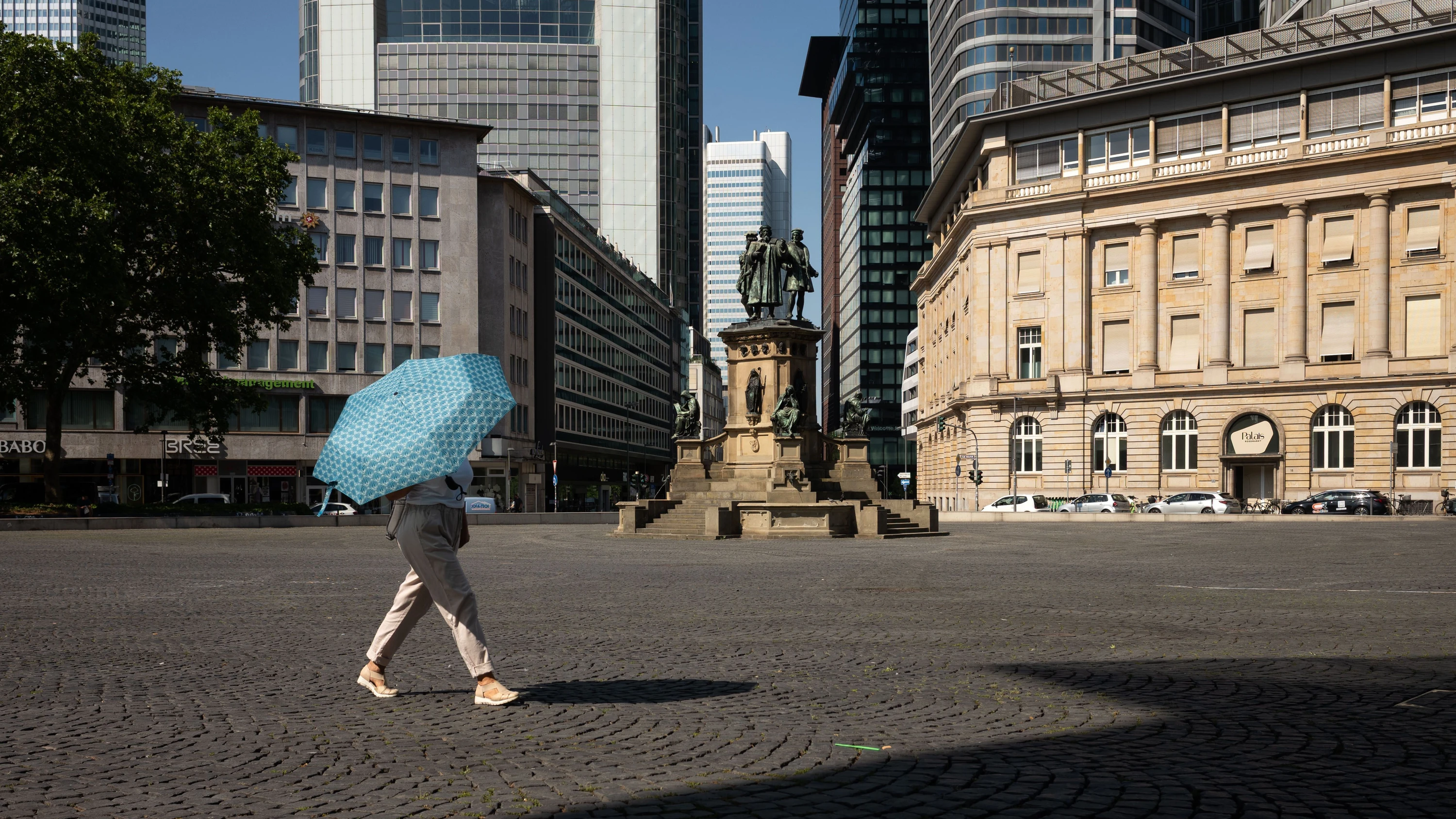 Baumpflanzungen: Frankfurt erfüllt selbstgesetzte Ziele nicht