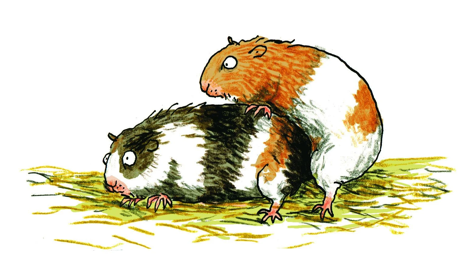 Zensur gegen Kinderbücher: Wie lieben sich eigentlich Seepferdchen?