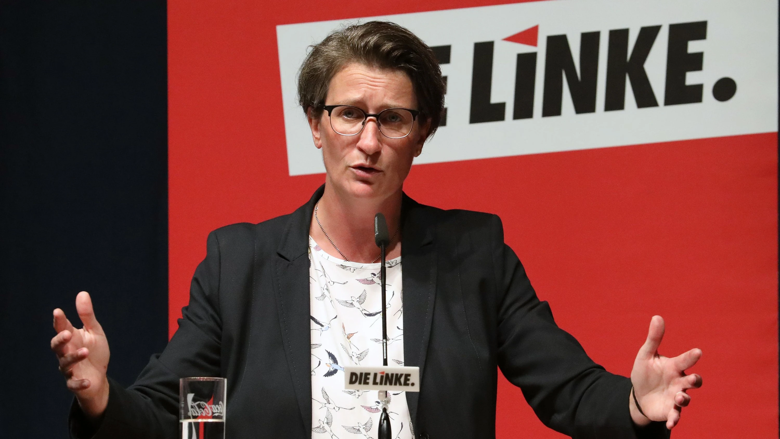 Deutschlandfahne abgerissen: Linke-Politikerin Brüdgam tritt zurück