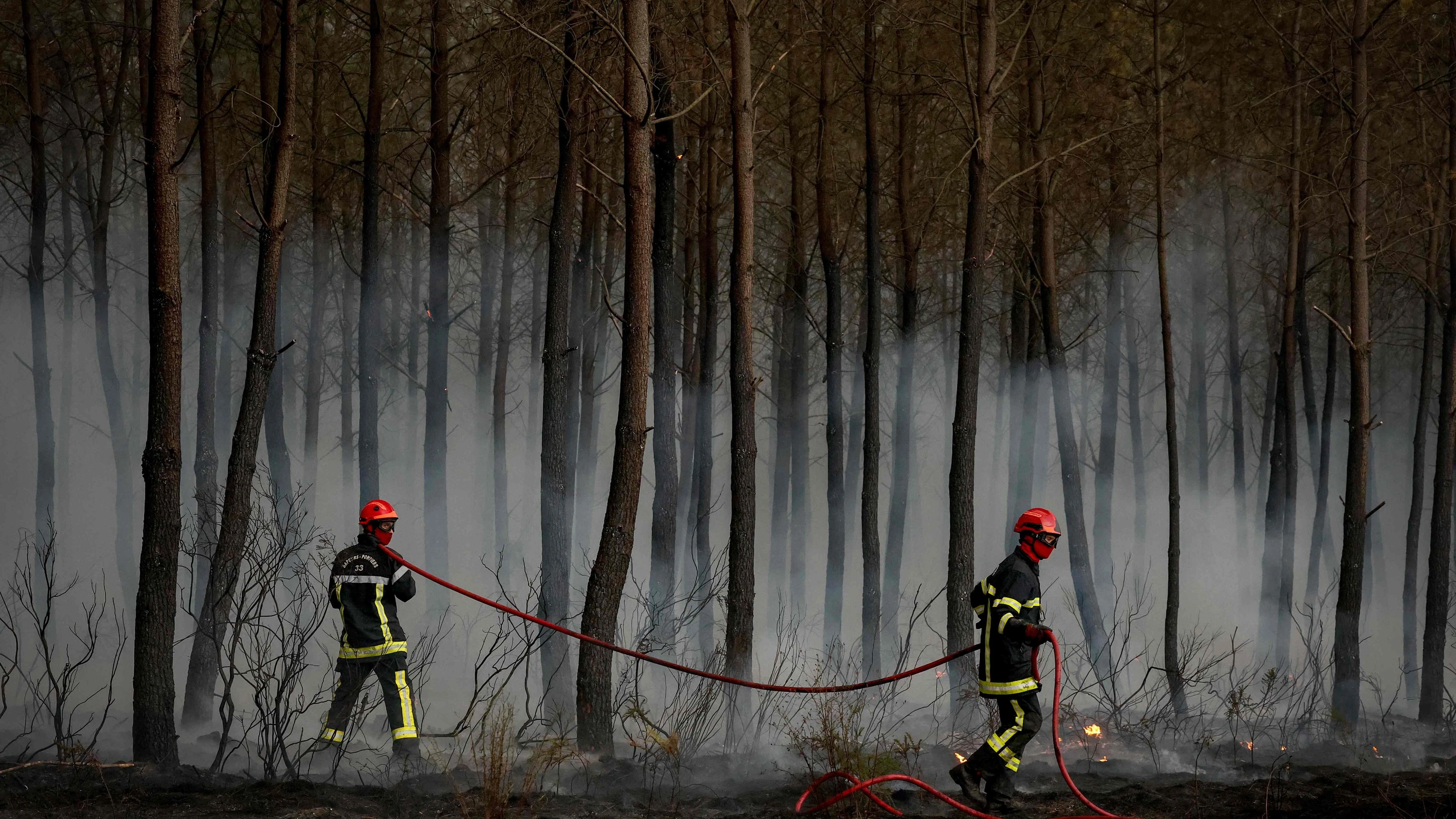 Waldbrände bei Bordeaux: Abschied von einem französischen Paradies