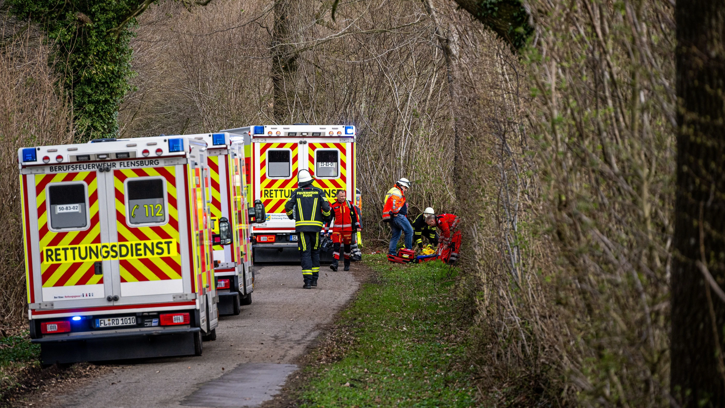 Wald bei Flensburg: Baum stürzt bei Ostereiersuche um – drei Tote