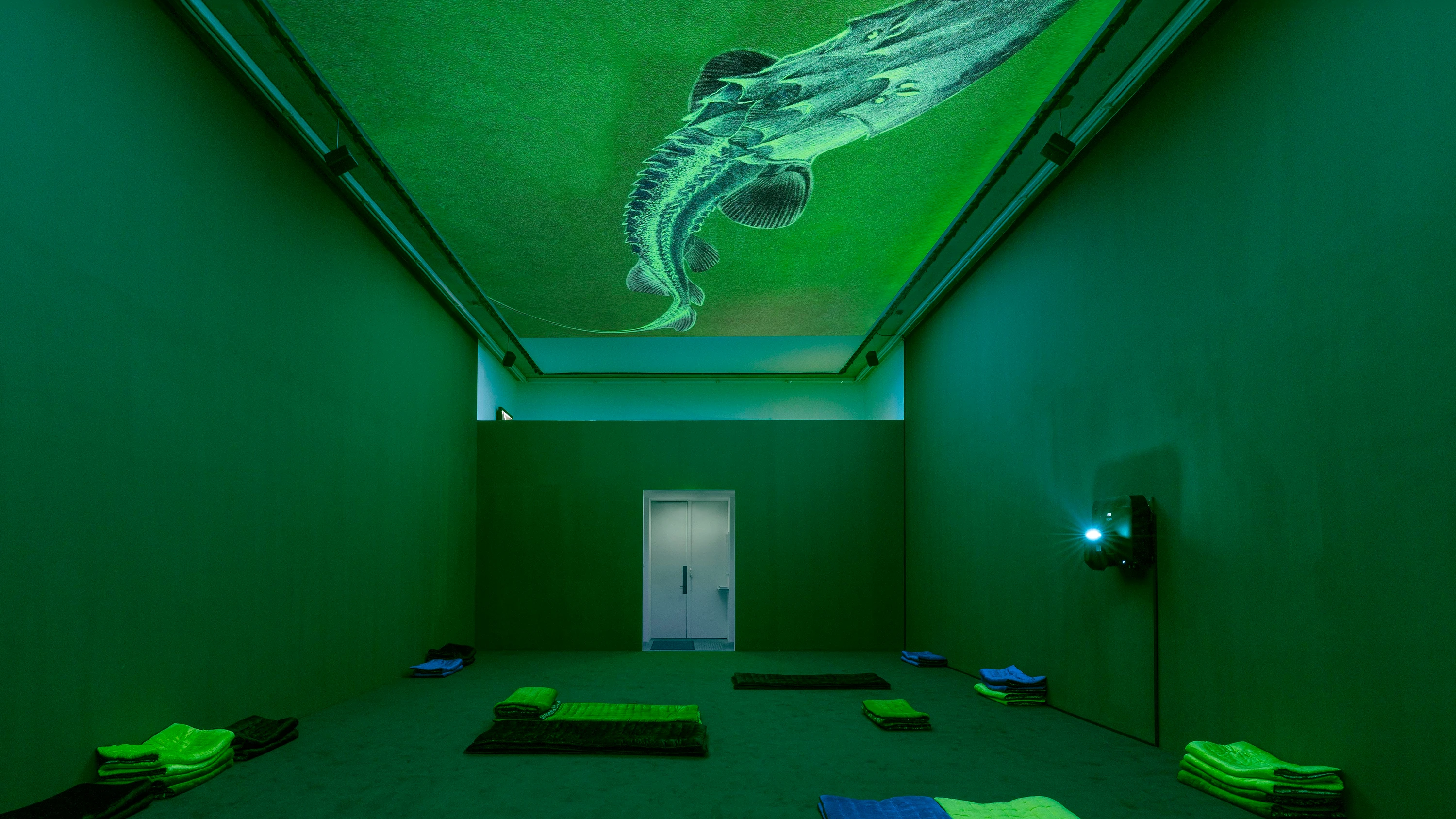 Kunsthalle Portikus: Wo die Möwe die Nilgans ruft