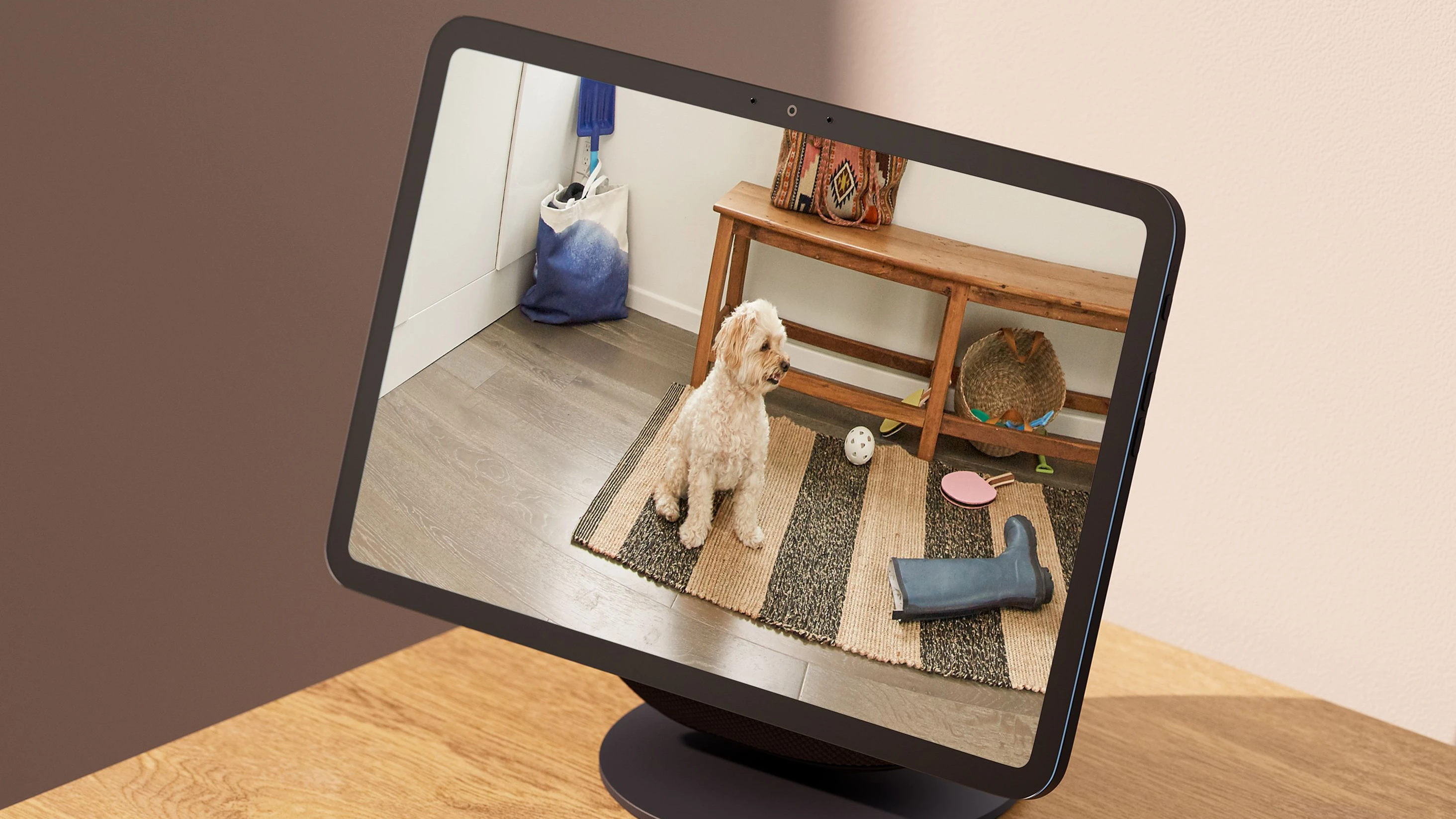 Lautsprecher von Amazon: Alexas frische Freunde