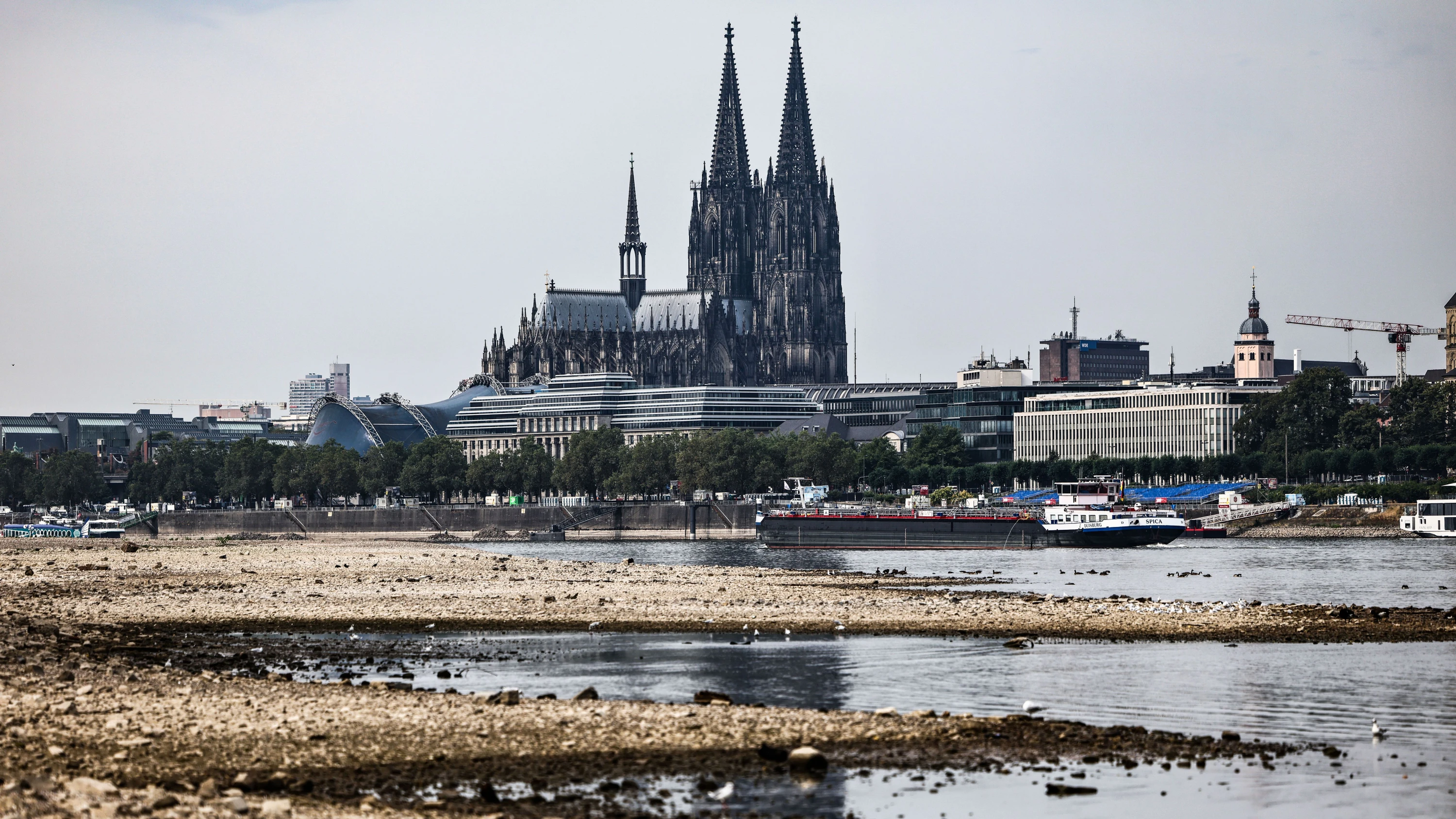 Niedrigwasser: Lanxess wappnet sich: „Das Risiko sind Produktionsausfälle“ Niedrigwasser: Lanxess wappnet sich: „Das Risiko sind Produktionsausfälle“