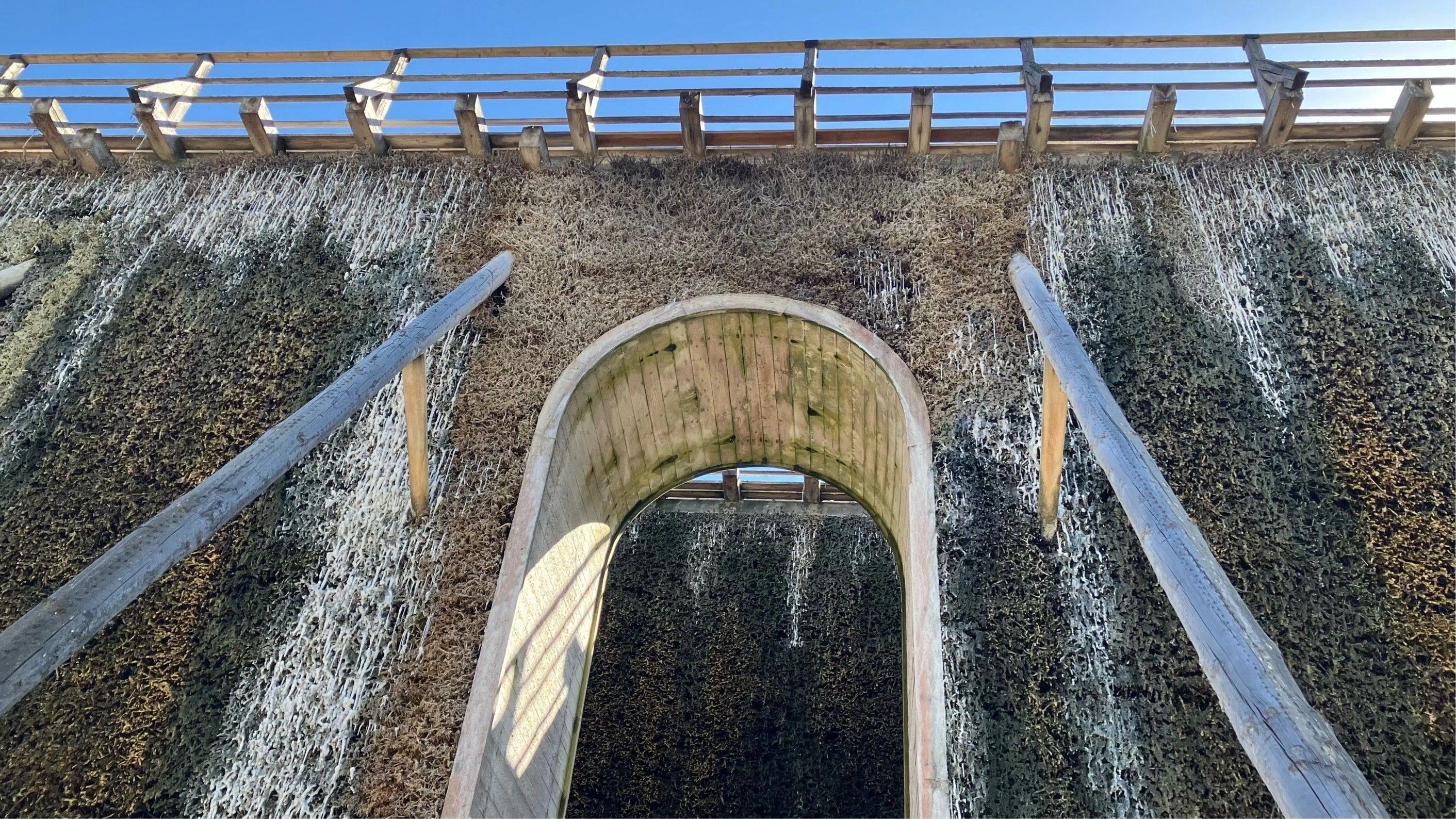 Saline in Bad Nauheim: In Bad Nauheim liegt Salz in der Luft