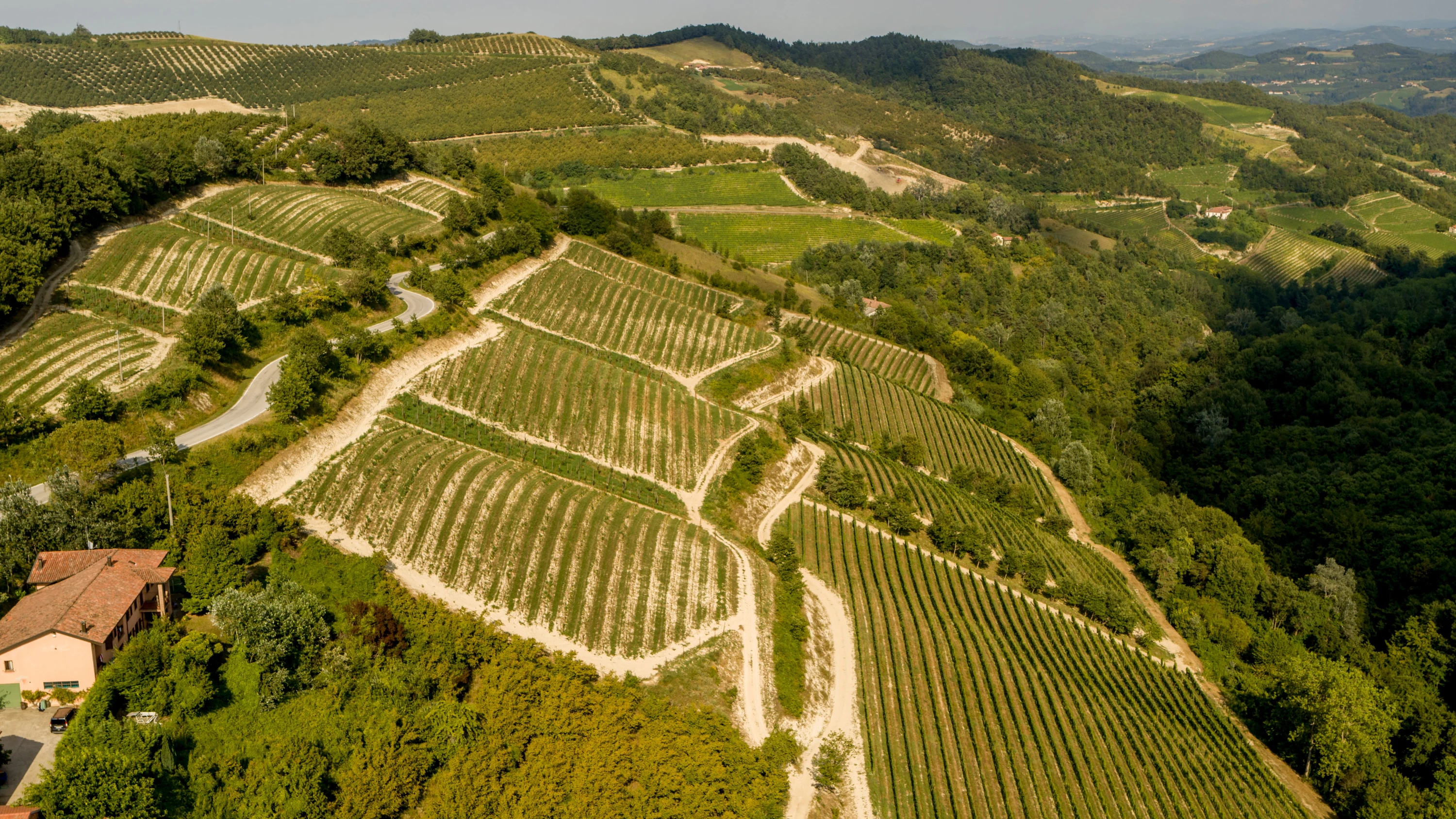 Gaja Alteni di Brassica: Mit dem Sauvignon Blanc Richtung Zukunft Gaja Alteni di Brassica: Mit dem Sauvignon Blanc Richtung Zukunft
