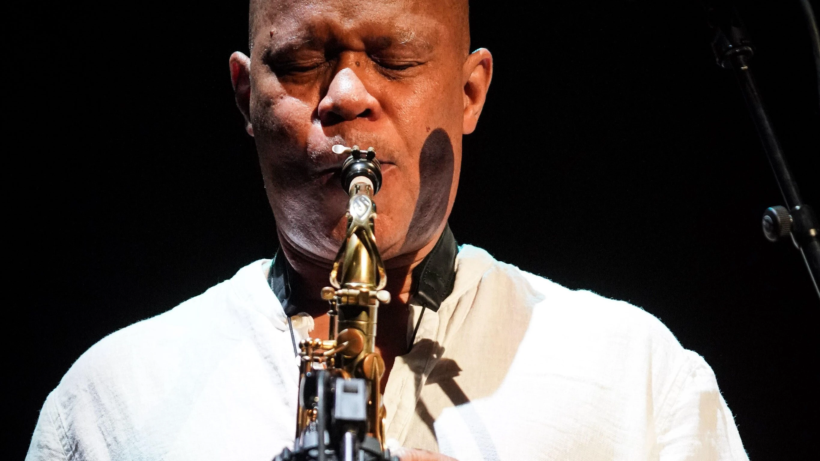 Steve Coleman wird 70: Spielen, wie die Bienen fliegen Steve Coleman wird 70: Spielen, wie die Bienen fliegen