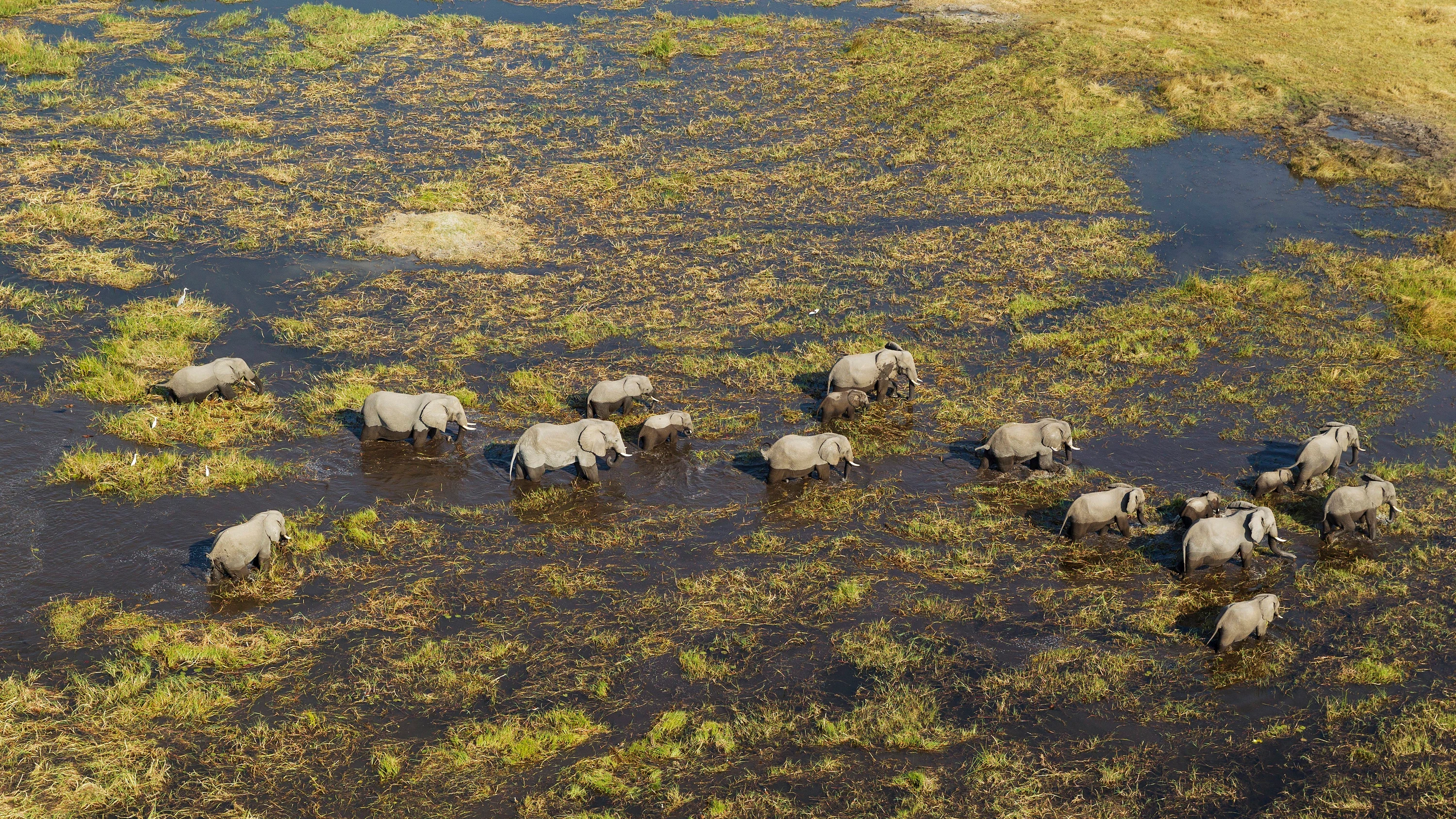 DNA aus den Tropen: Mit einem Teelöffel Schlamm alte Rätsel lösen DNA aus den Tropen: Mit einem Teelöffel Schlamm alte Rätsel lösen