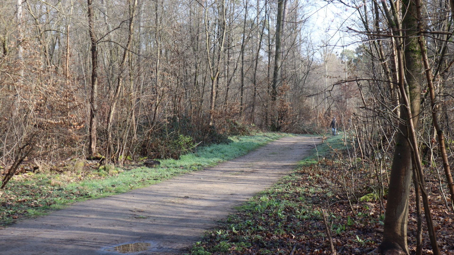 Die Frau war im März in einem Wald bei Mannheim gefunden worden. - dpa