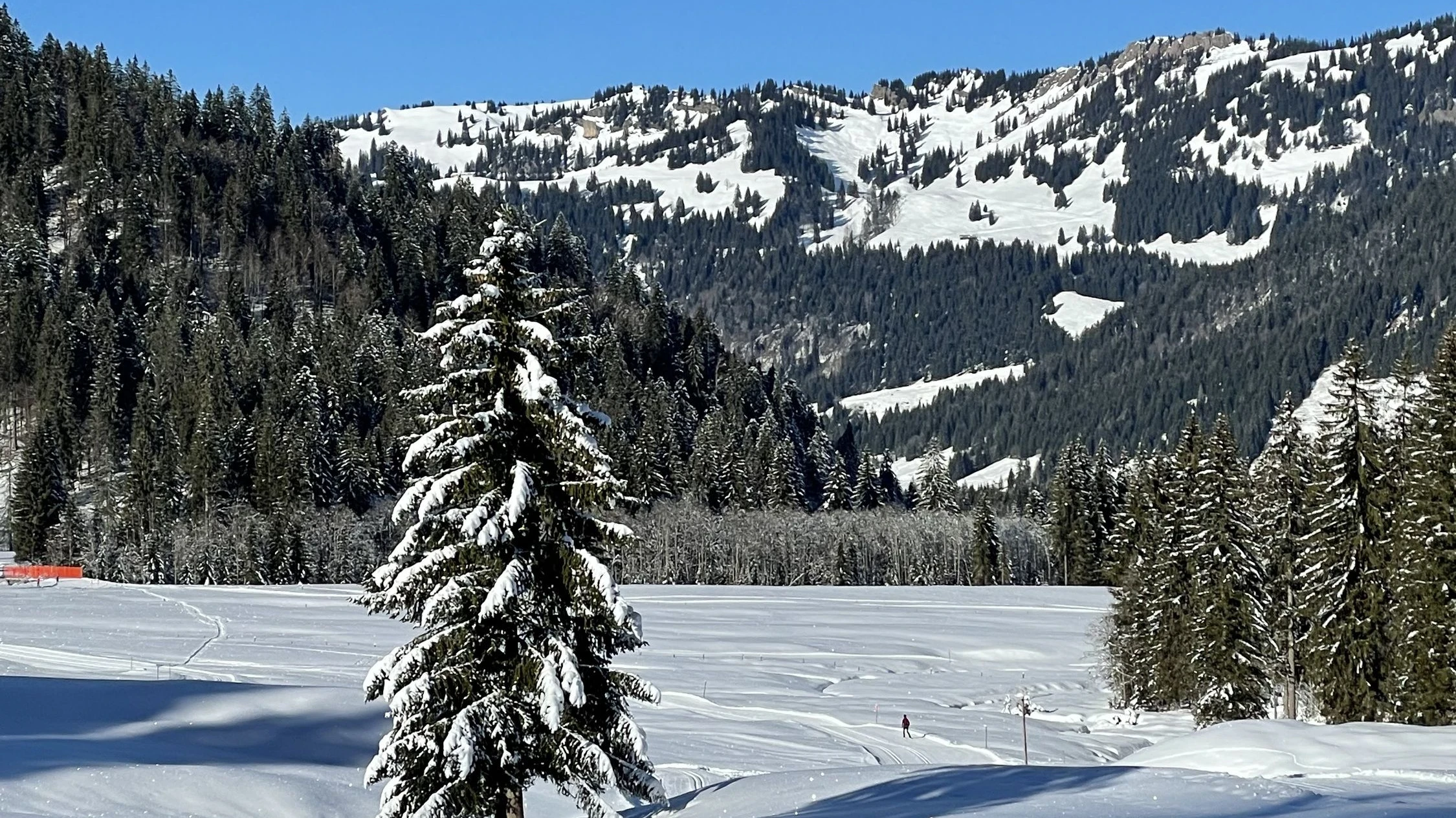 Auf zum Langlauf: In der Abwechslung liegt die Anziehungskraft