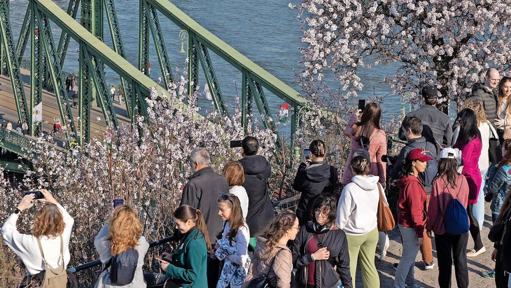 Korruptionsfachmann Ligeti: „Korruption ist im ungarischen System Herrschaftsmethode“