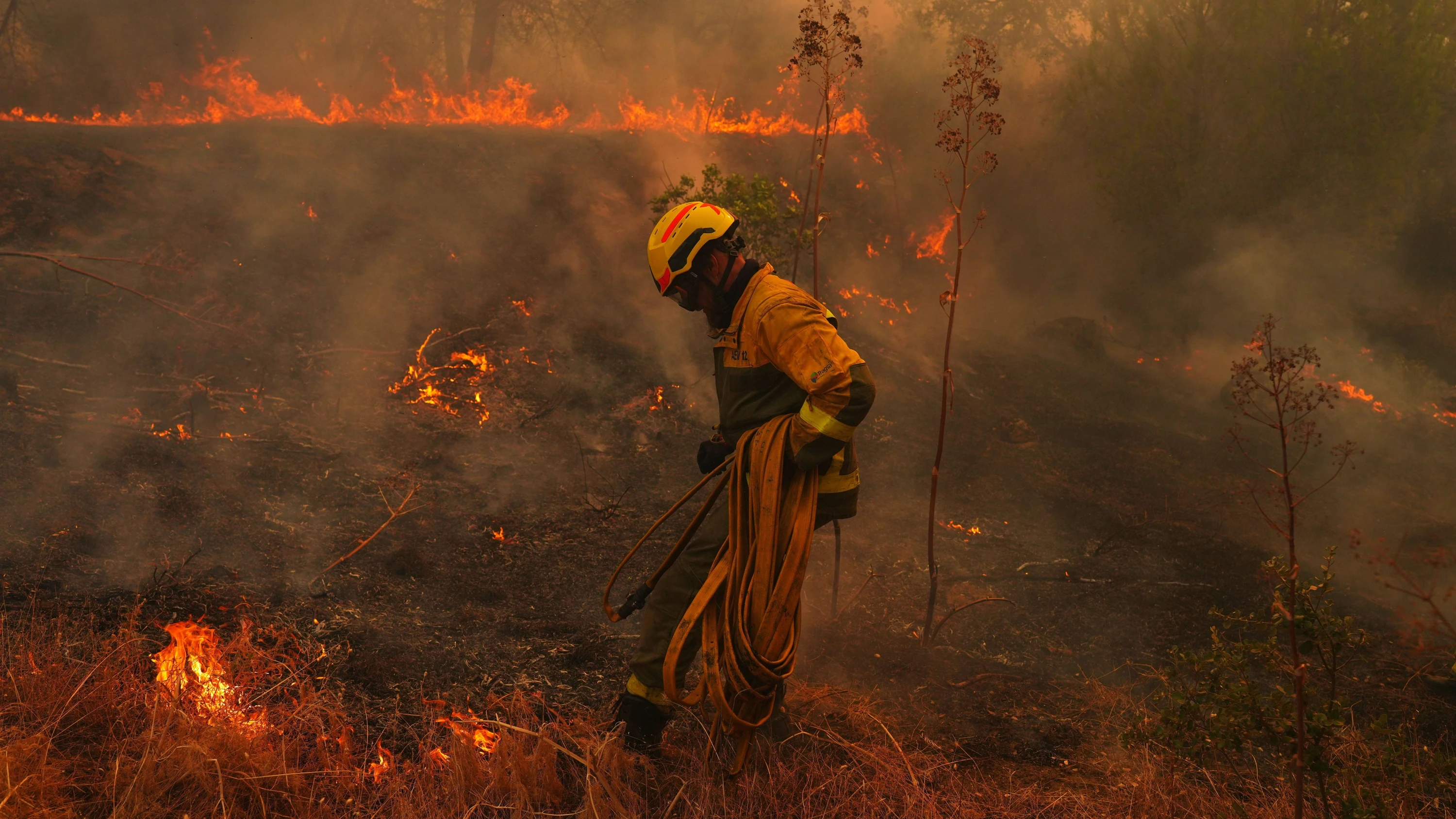 Spanien und Südfrankreich: Hunderttausende wegen verheerender Waldbrände auf der Flucht
