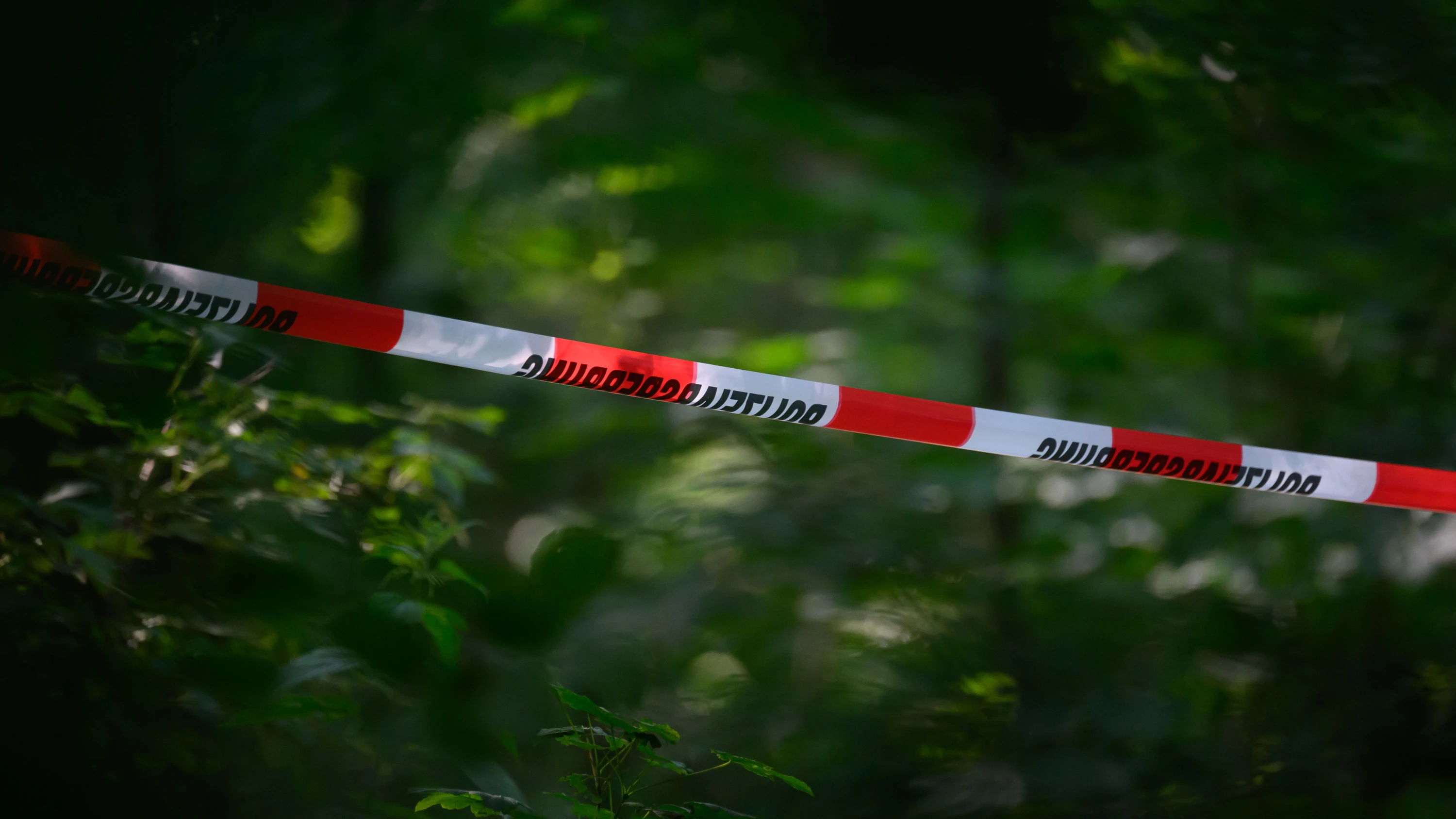 Zeugenaufruf in Berlin: Die tote Frau lag „schon einige Zeit“ im Gebüsch