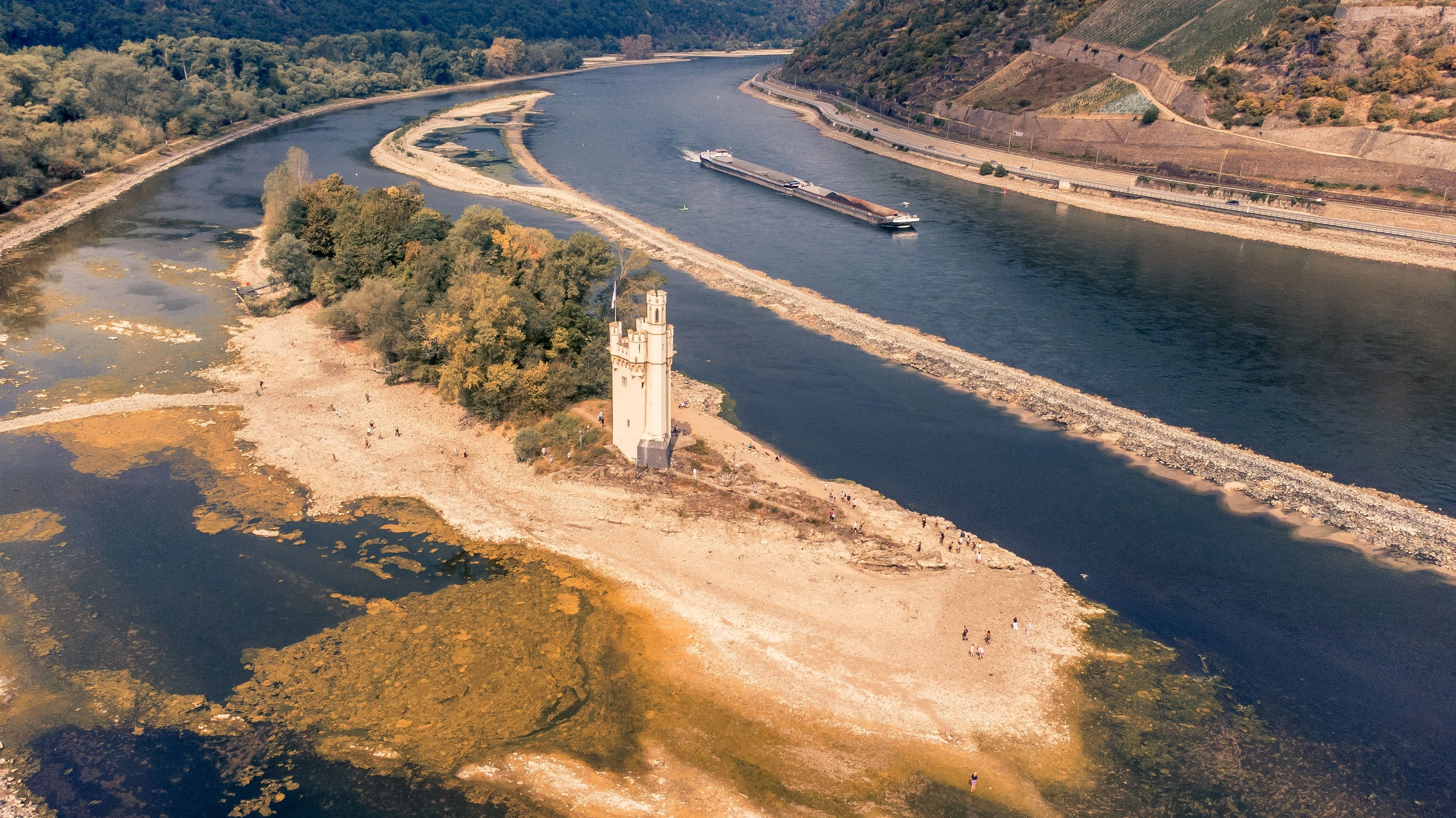 Wasserstraße mit wenig Wasser: Wegen der Trockenheit sank der Pegel des Rheins stark. - Maximilian von Lachner