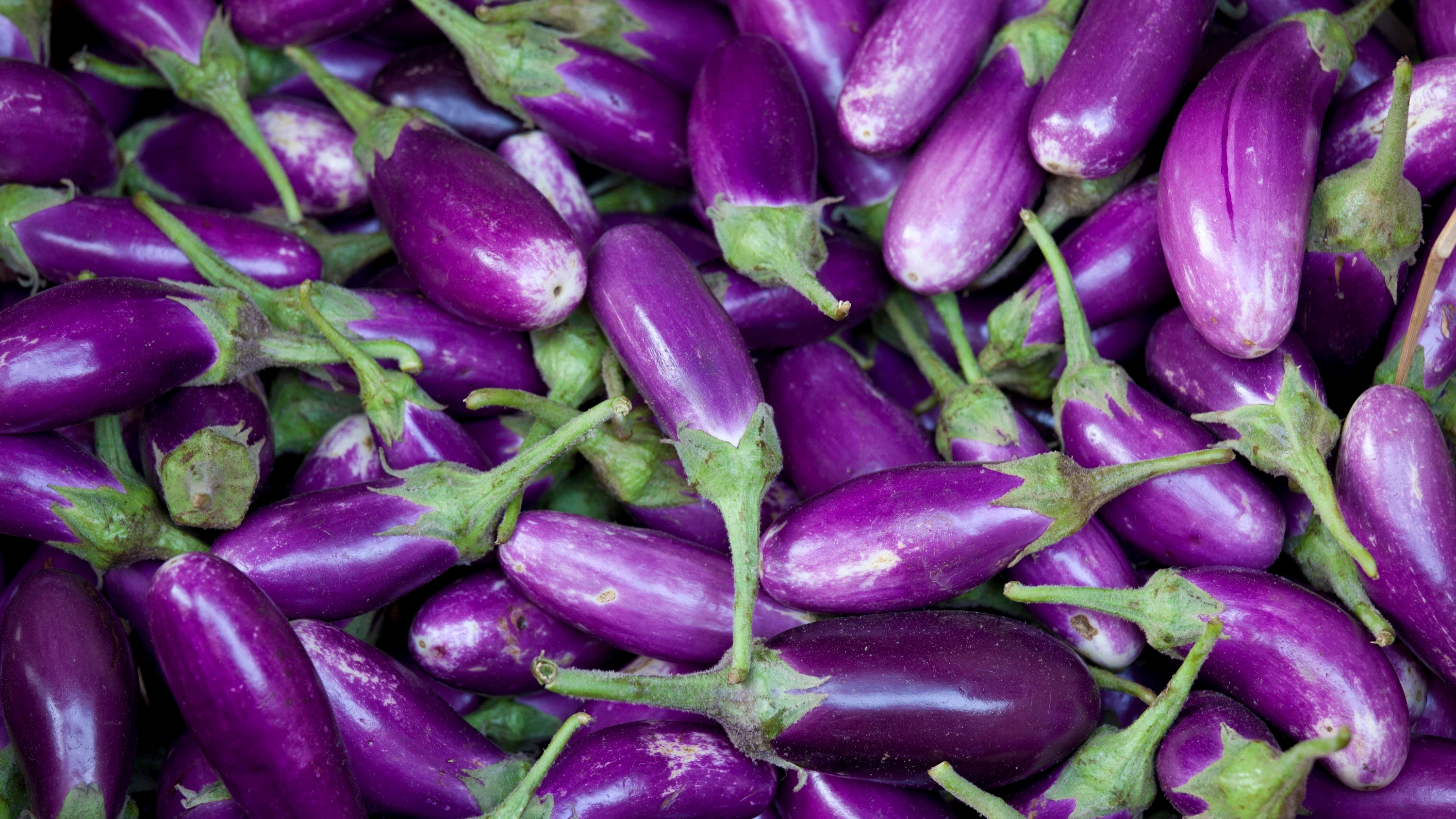 Wärmeliebend und meistens violett: Die Aubergine ist ein Klassiker der mediterranen Küche, stammt aber ursprünglich aus Asien. - picture alliance