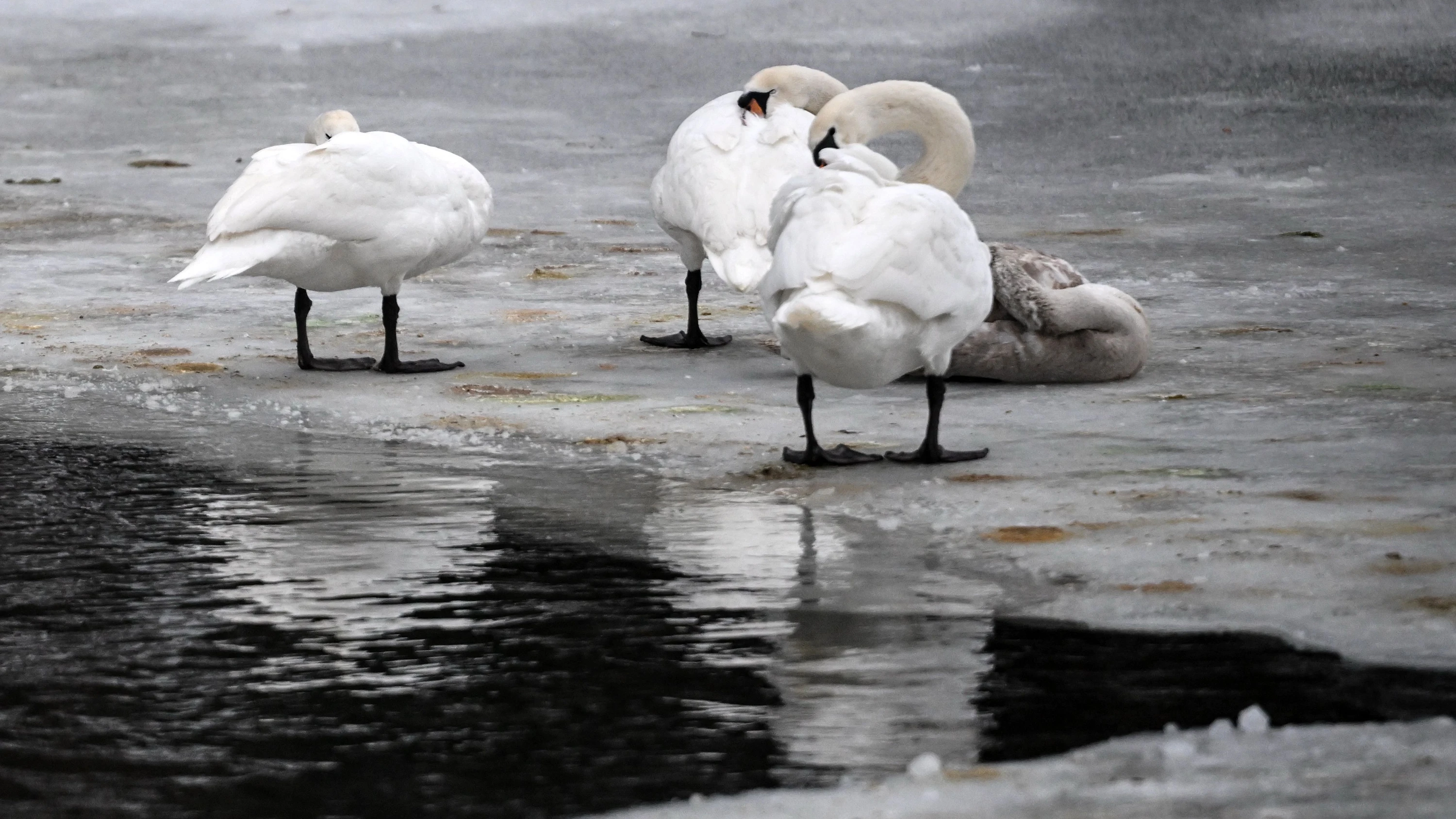 Wetter am Wochenende: Abermals Glättegefahr im Norden und Nordosten Deutschlands