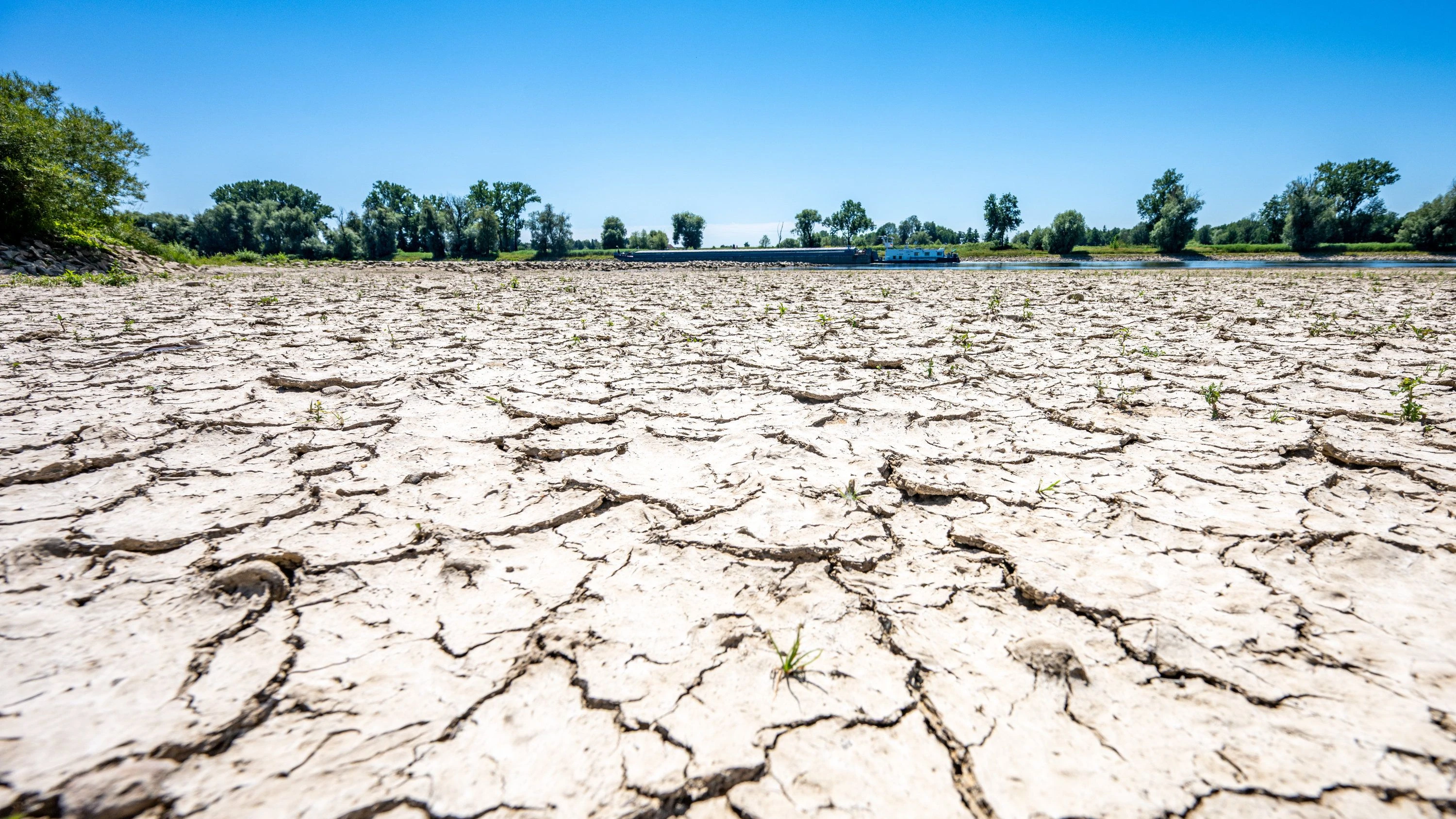 Bilanz des Deutschen Wetterdiensts: 2025 war sehr warm und deutlich zu trocken Bilanz des Deutschen Wetterdiensts: 2025 war sehr warm und deutlich zu trocken