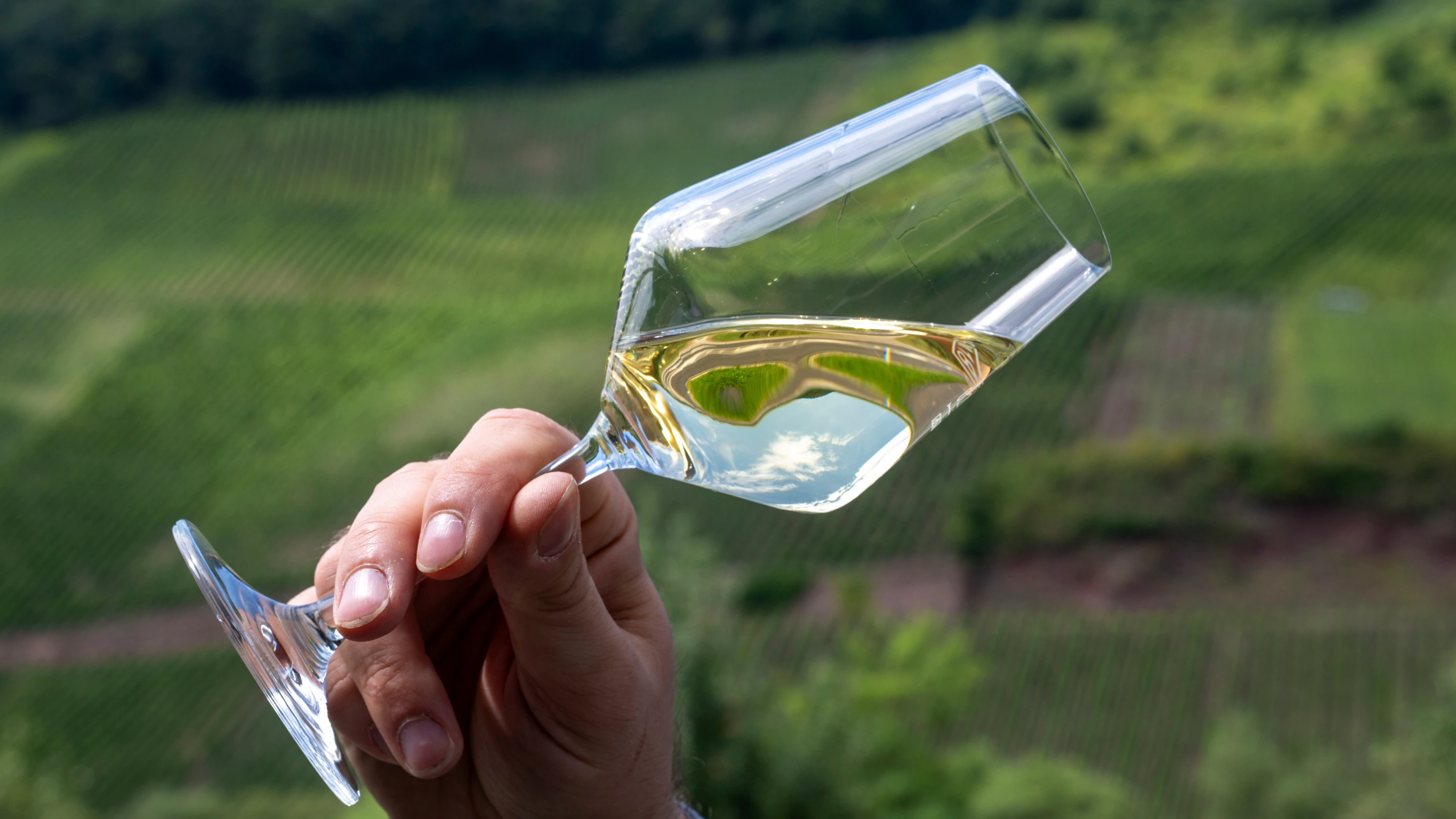 Rieslinge von der Mosel: Bei diesen Weinen verschlägt es einem die Sprache