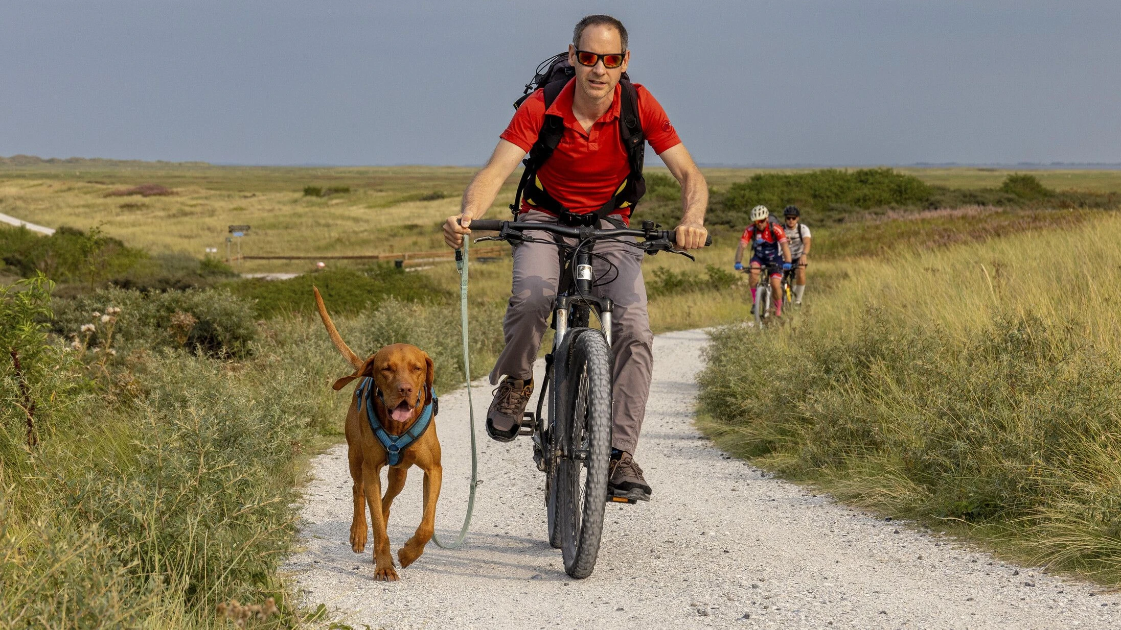 Herz und Kreislauf: So können Männer mehr als zehn Jahre Lebenszeit gewinnen Herz und Kreislauf: So können Männer mehr als zehn Jahre Lebenszeit gewinnen