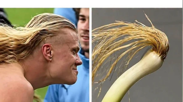 Erling Haaland im Netz: Der blonde Mann mit der Lauchfrisur Erling Haaland im Netz: Der blonde Mann mit der Lauchfrisur