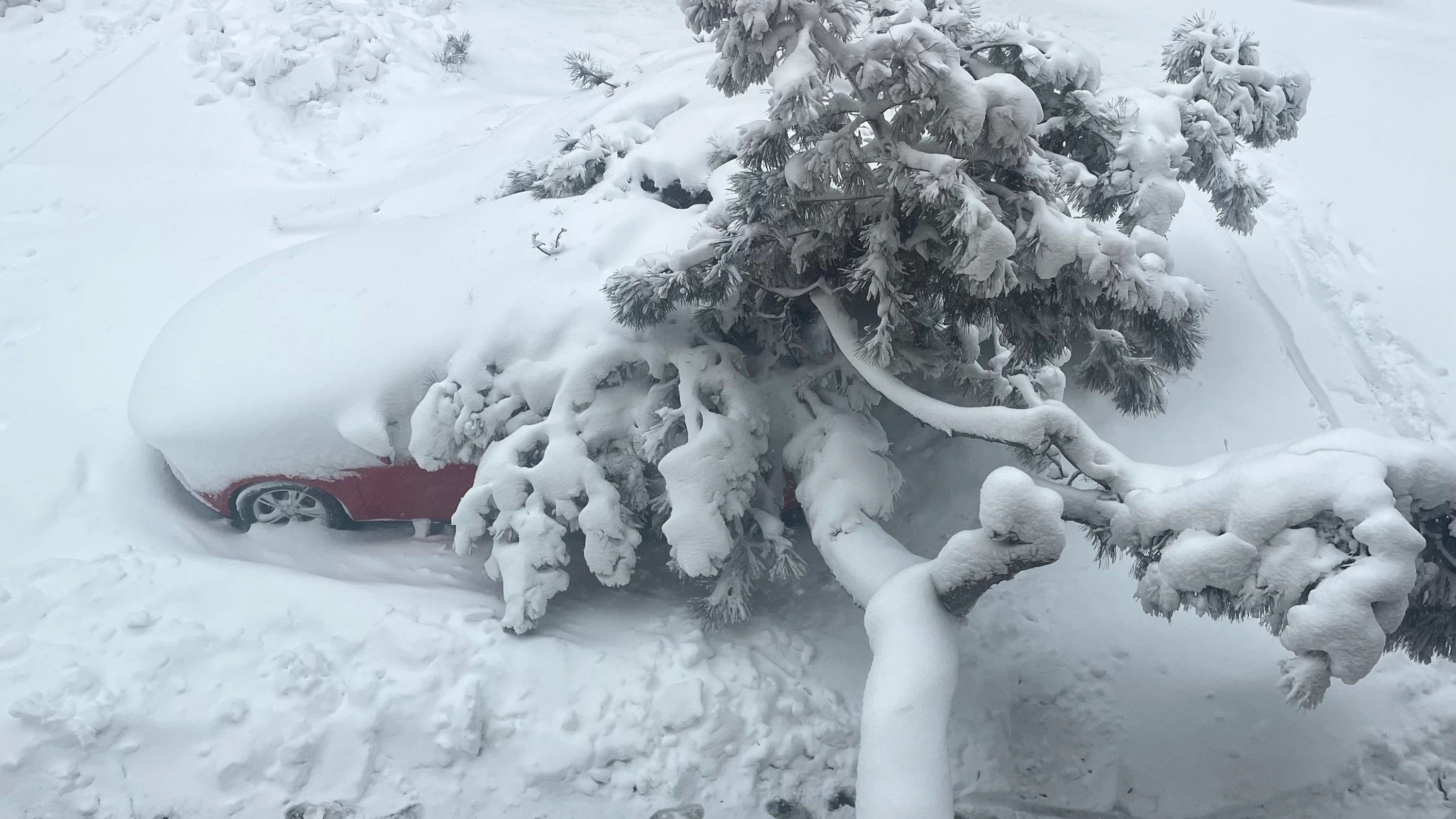 Blizzard in New York: New York geht im Schnee unter Blizzard in New York: New York geht im Schnee unter